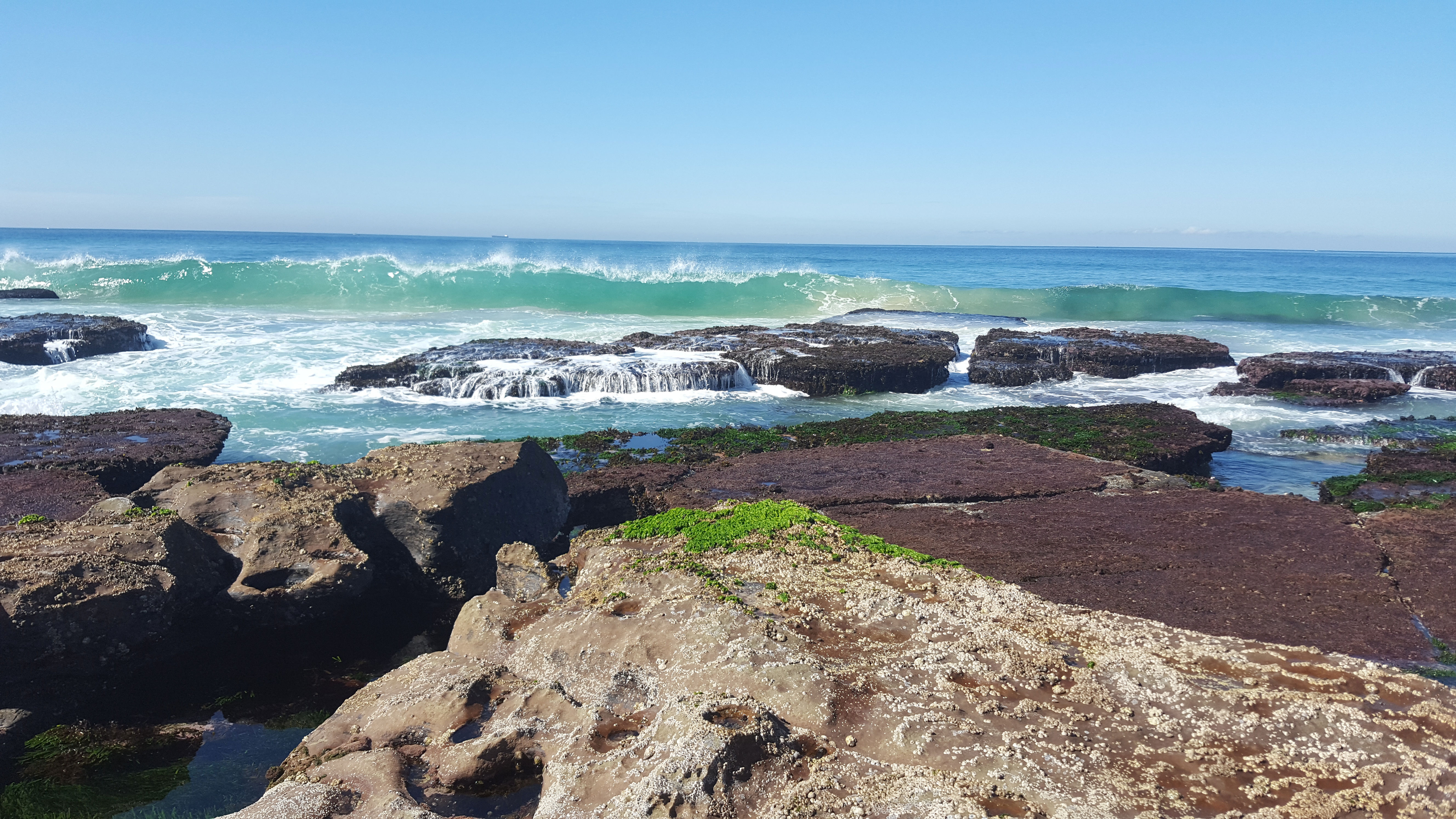 Bar Beach Newcastle New South Wales