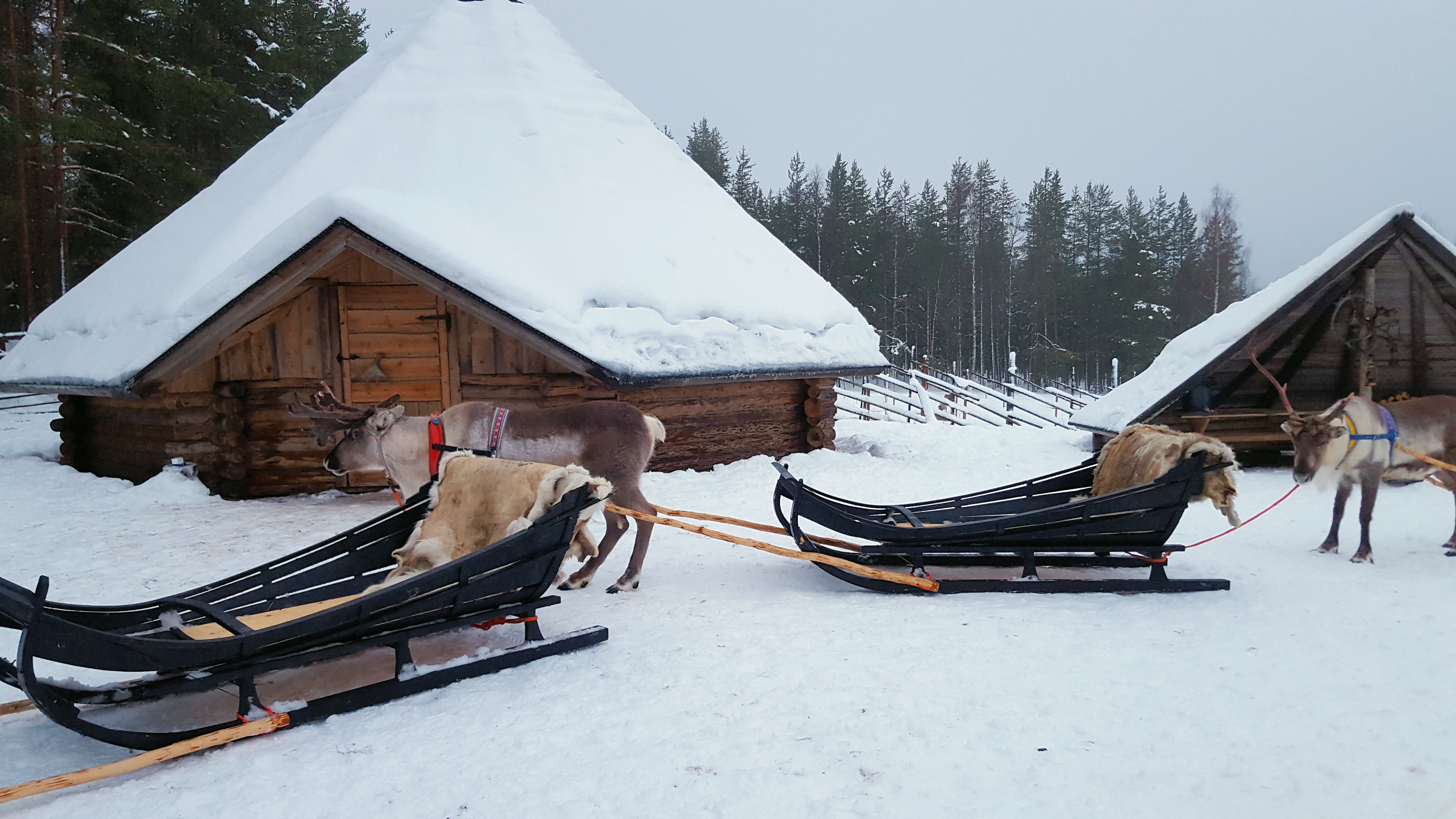 Rovaniemi Finland in Winter