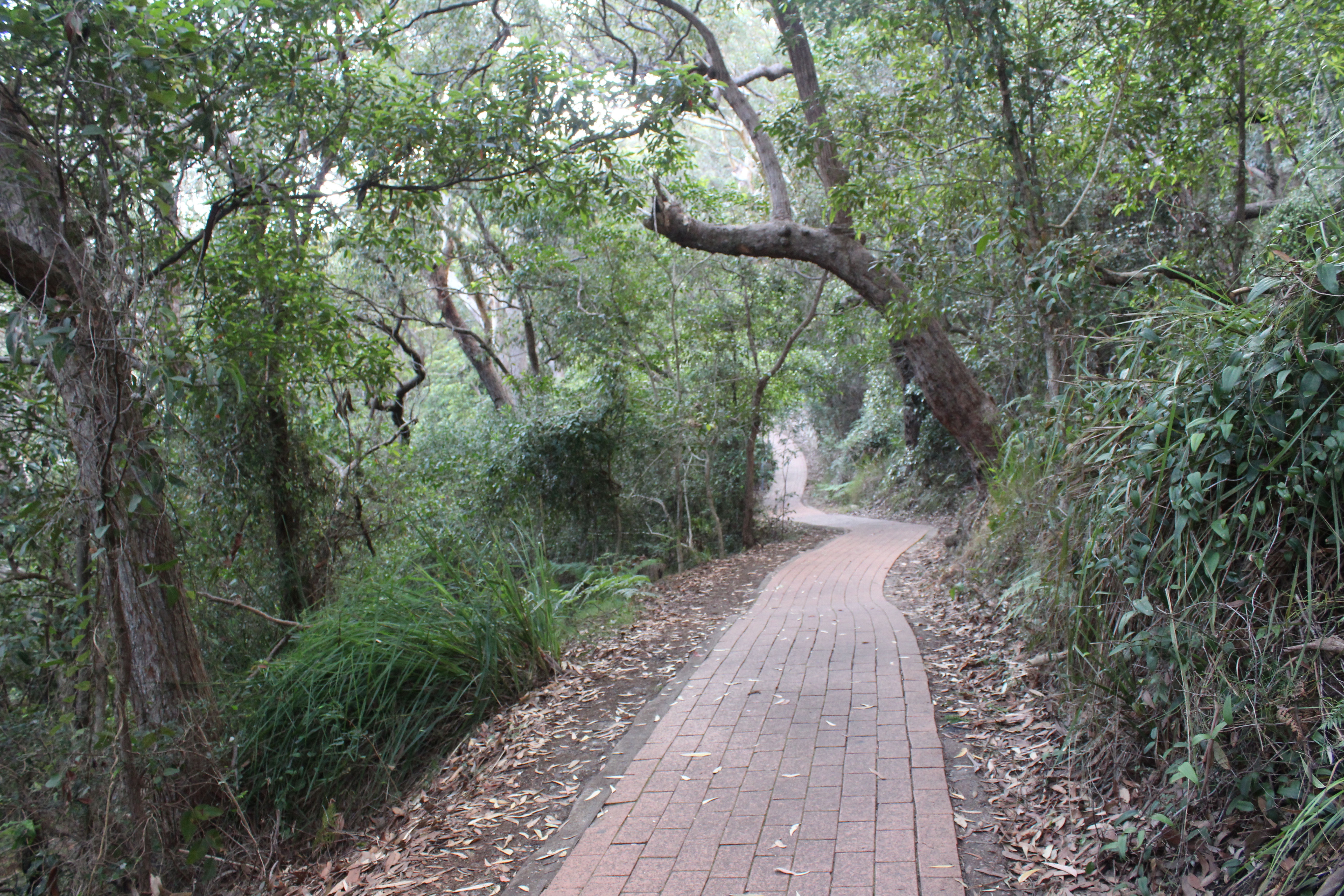 Mount Tomaree Walking Track Destination's Journey