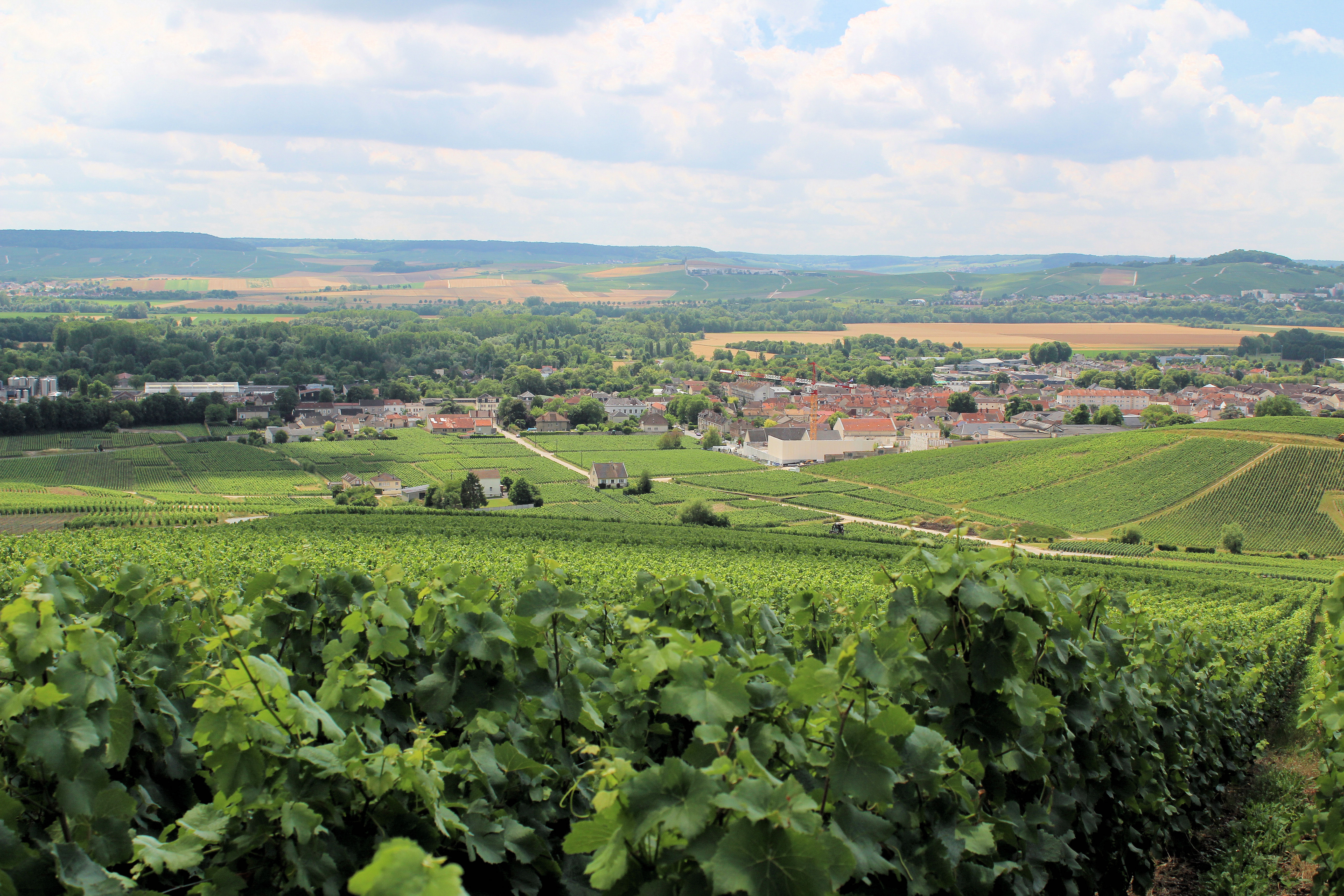 Champagne Region France