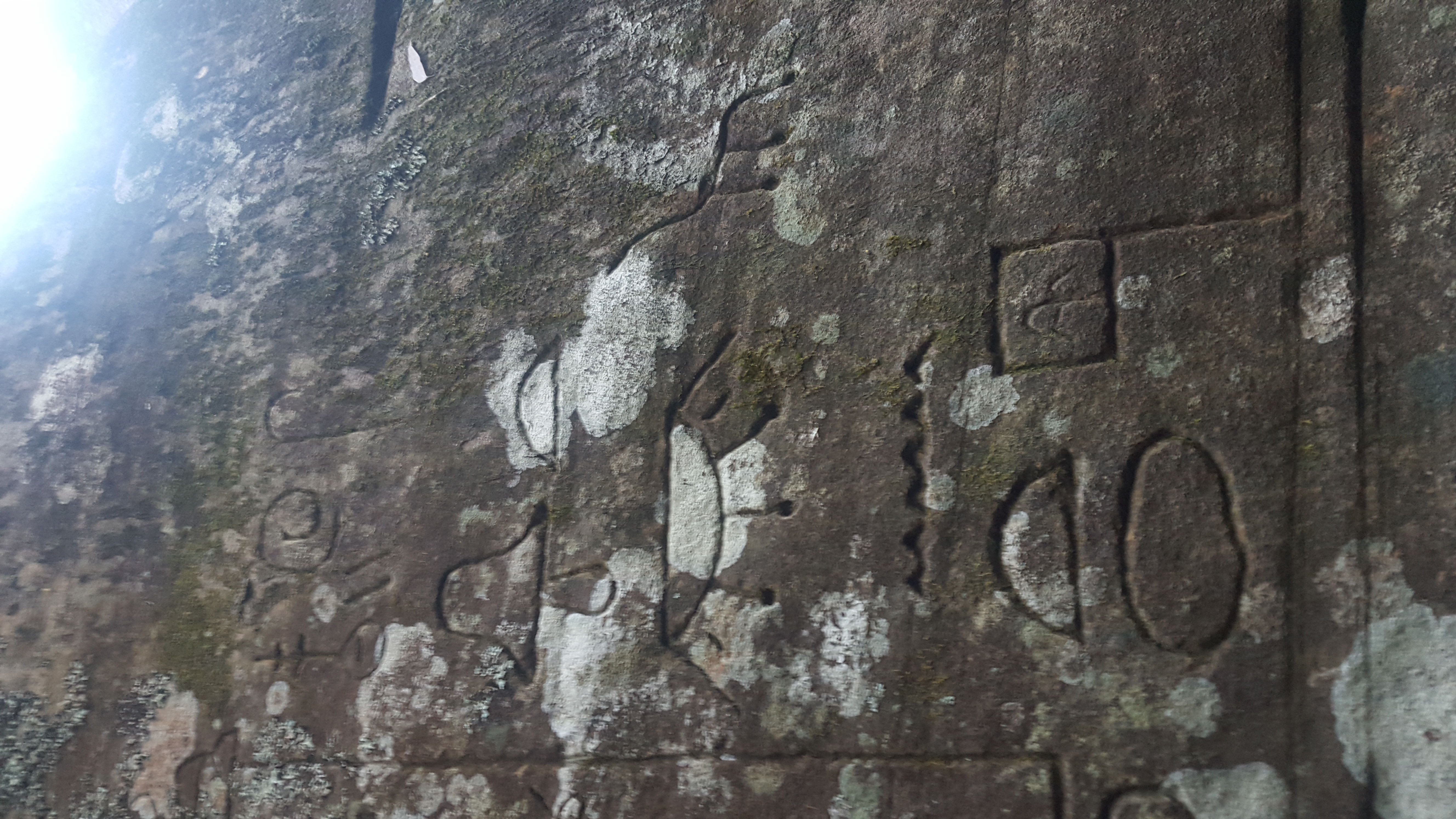 Gosford Glyphs Petroglyphs or Hieroglyphics