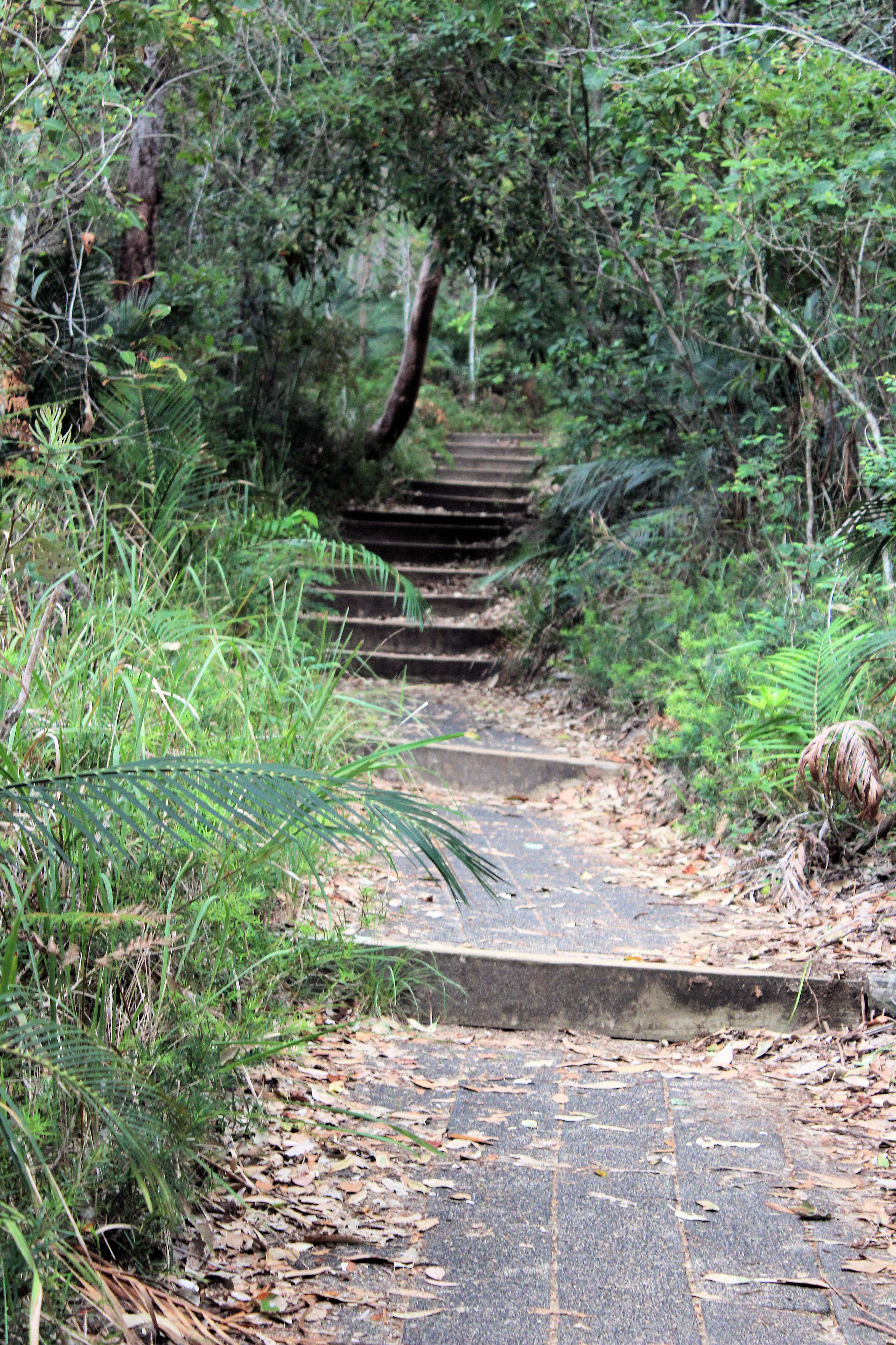Maitland Bay Track Bushwalking and a Shipwreck