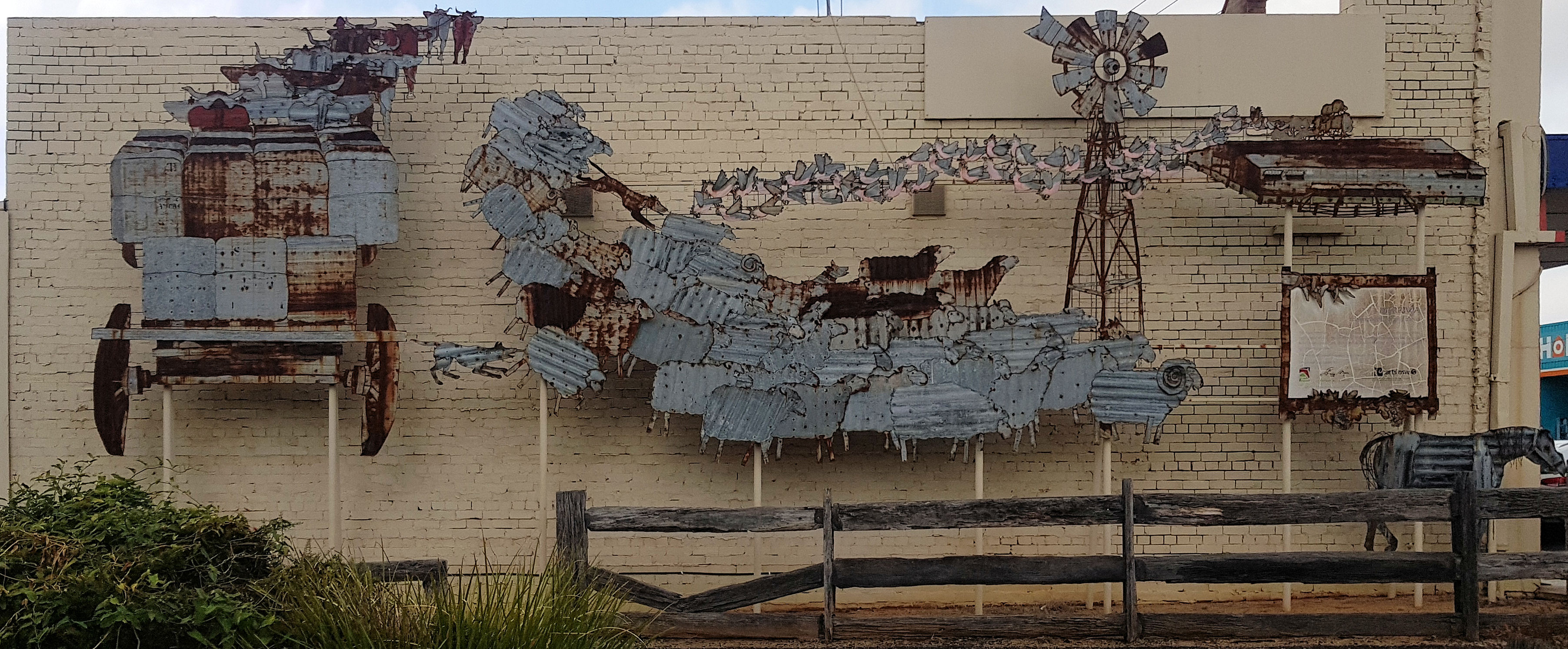 Merriwa Sheep Beautiful Golden Canola Destination S Journey