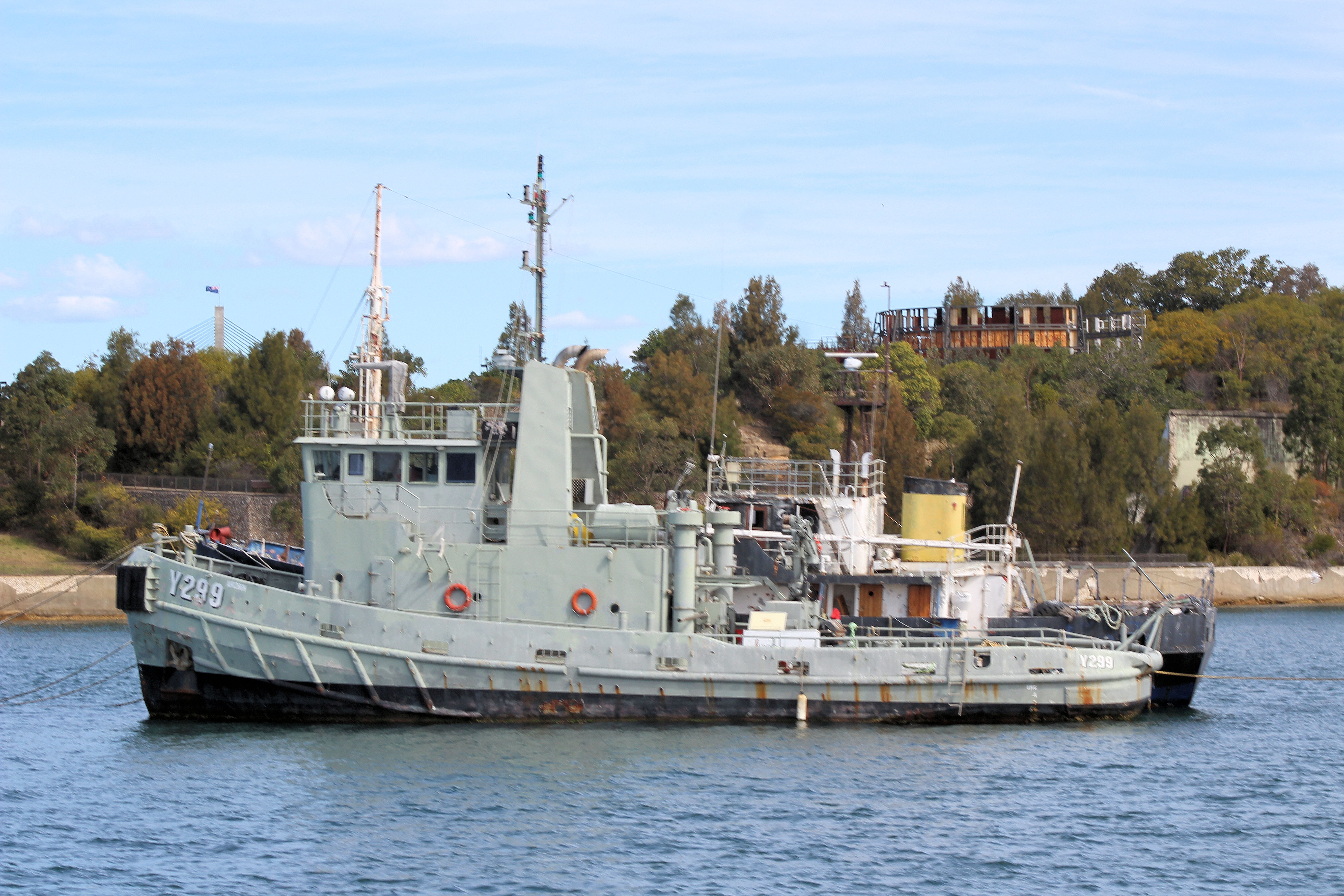 MSA Wallaroo Y 299