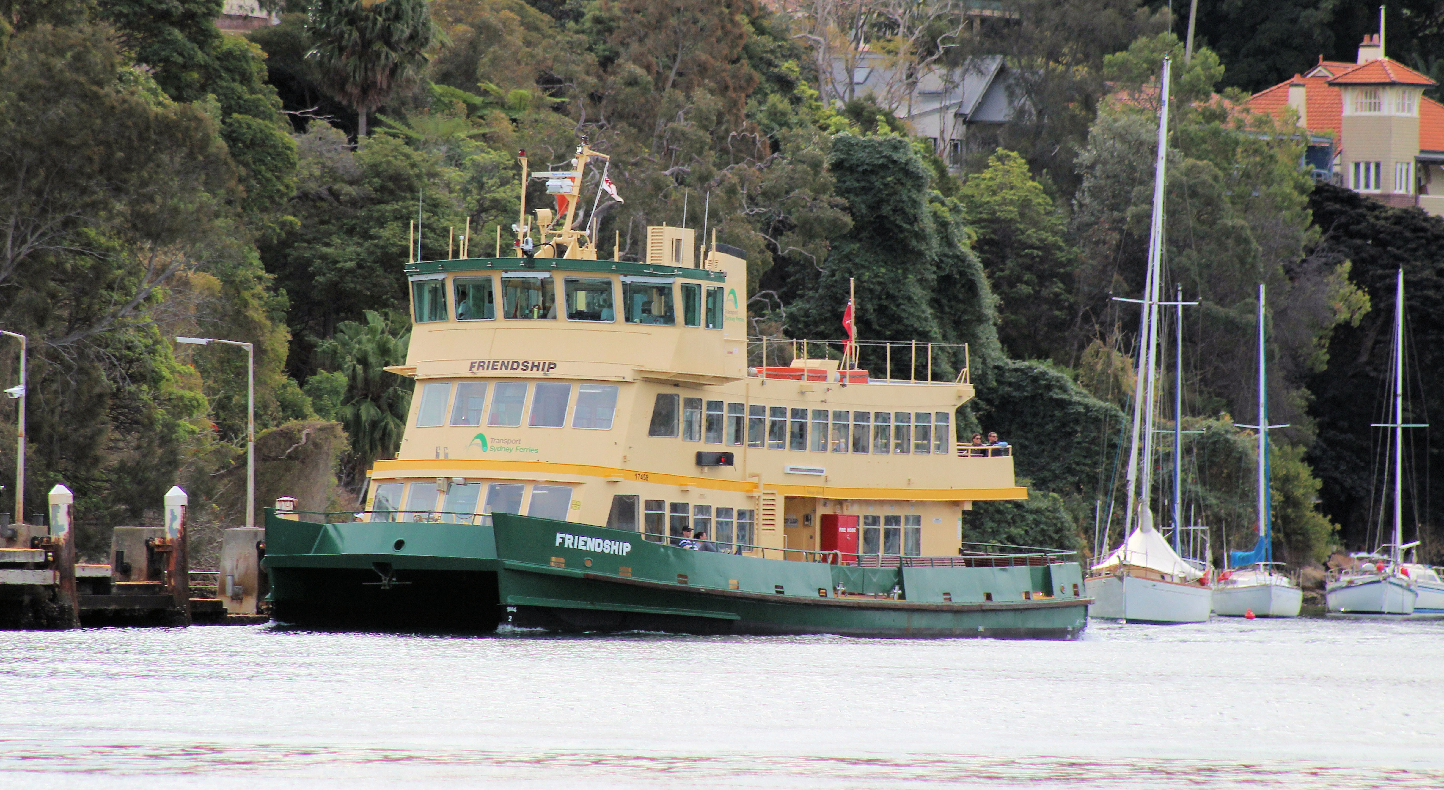 Sydney Ferry Friendship