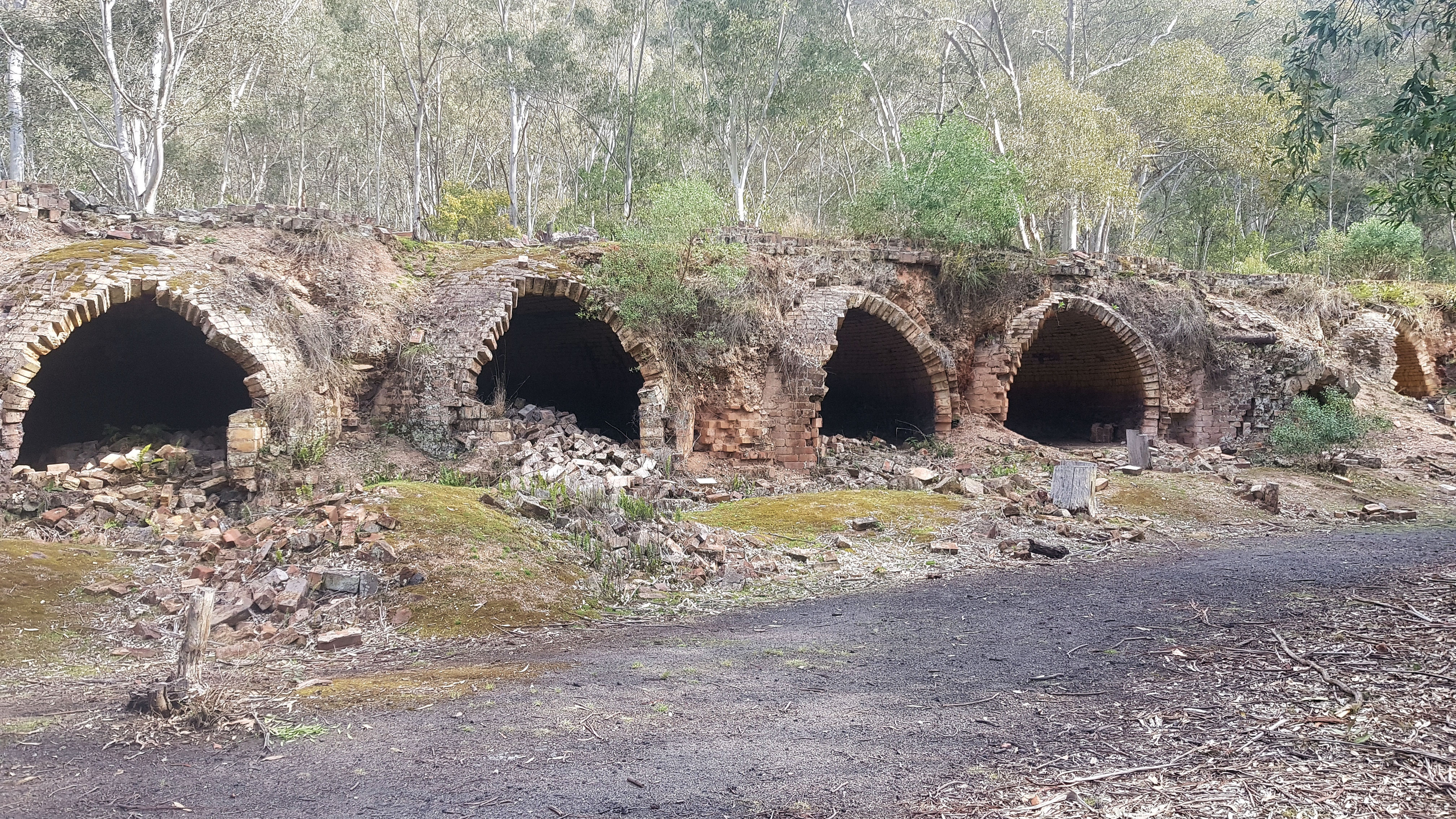 Newnes Industrial Ruins Walk