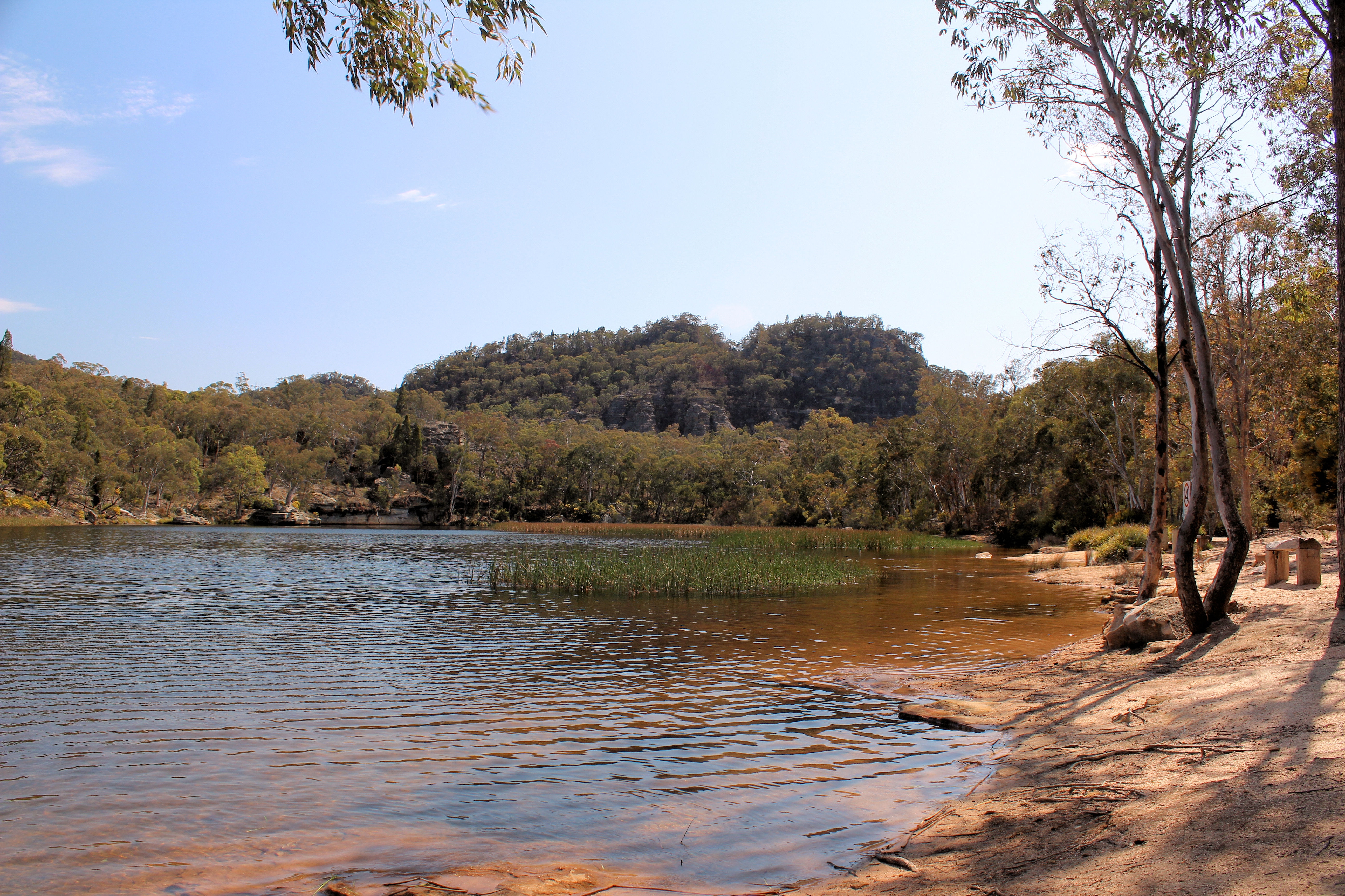 Dunns Swamp Wollemi National Park