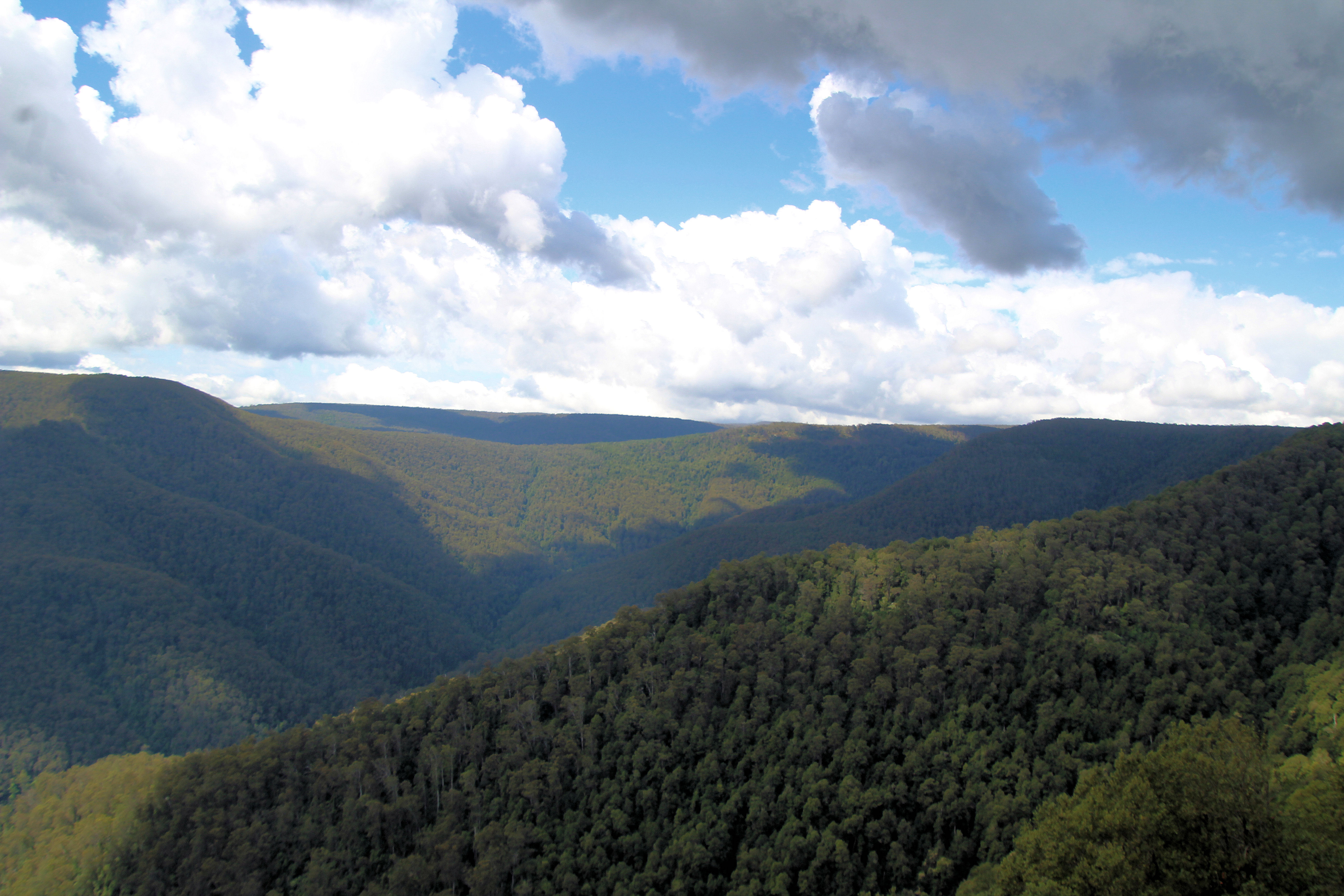 Barrington Tops National Park