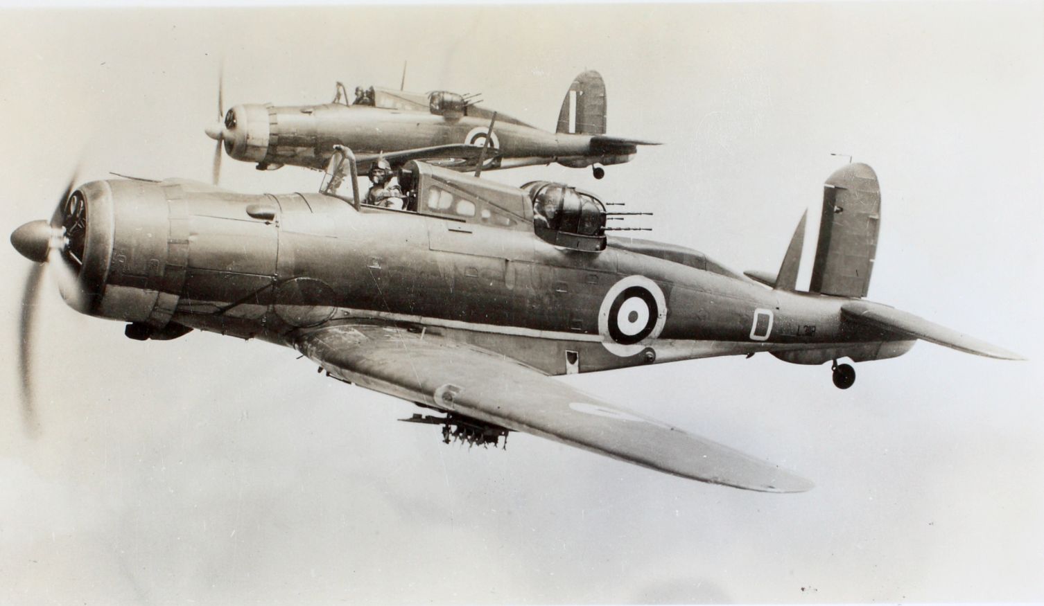 Blackburn Roc