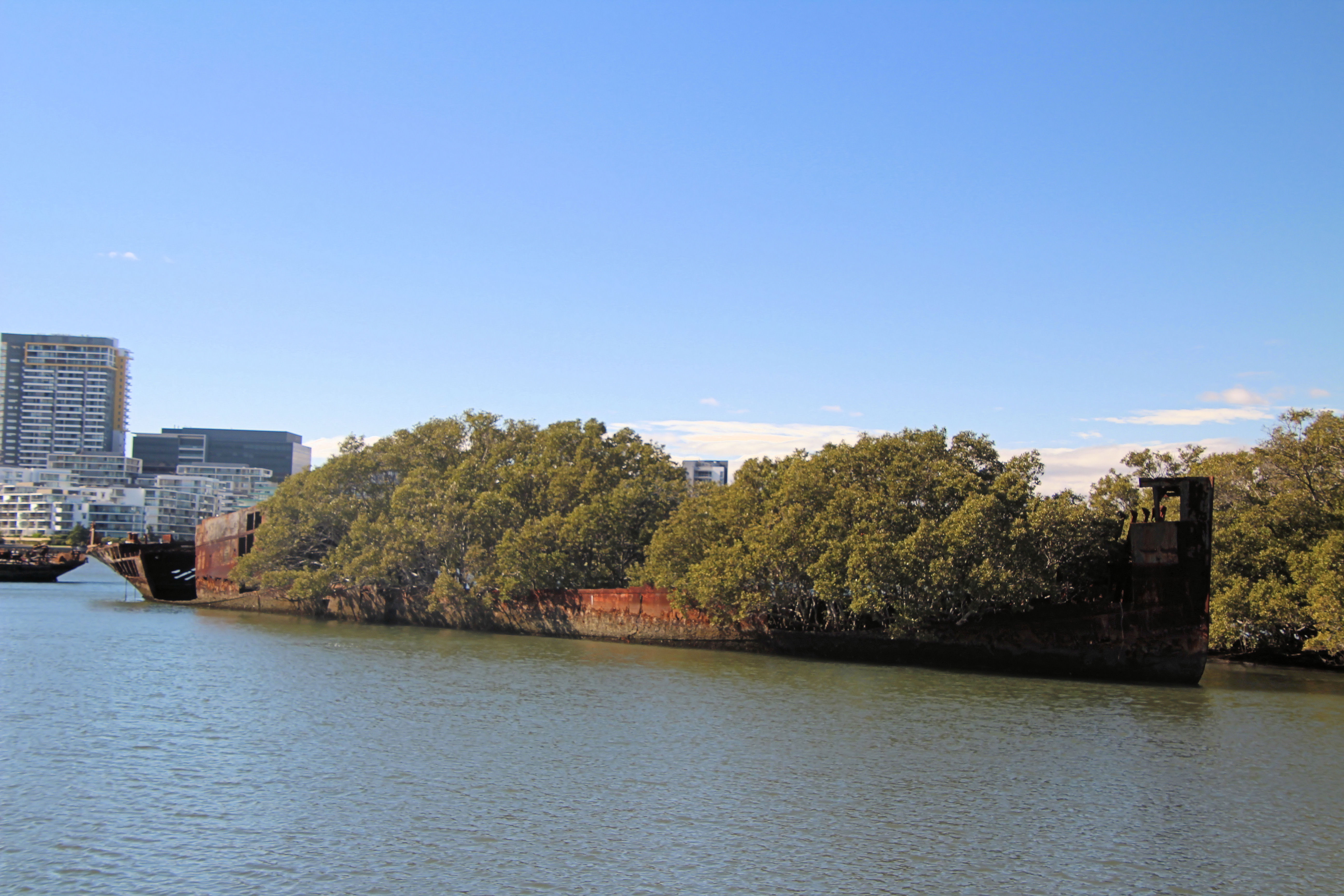 Homebush Bay Ship Wrecks