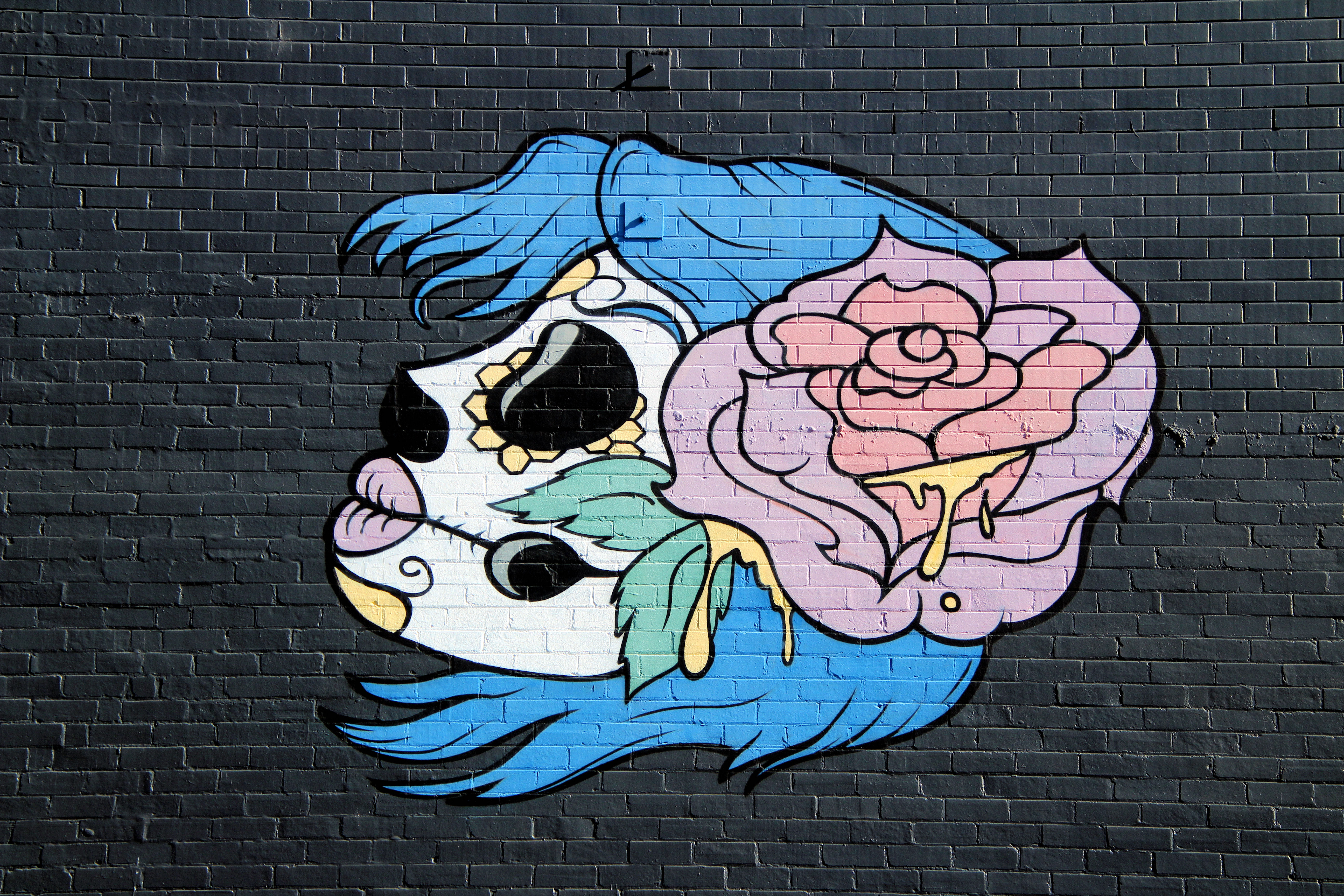 Newcastle Street Art
