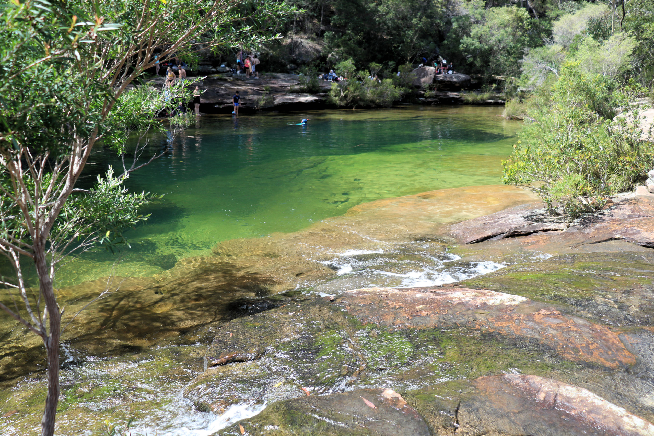 Karloo Pools Track Royal National Park