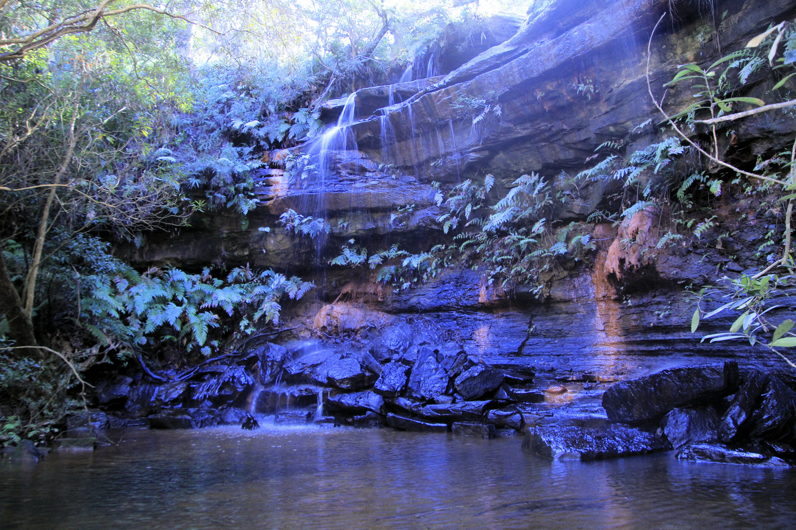 Girrakool Loop Track Brisbane Water National Park
