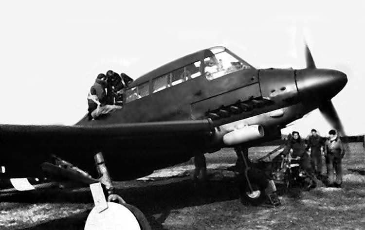 Savoia-Marchetti SM.93 in German Colours