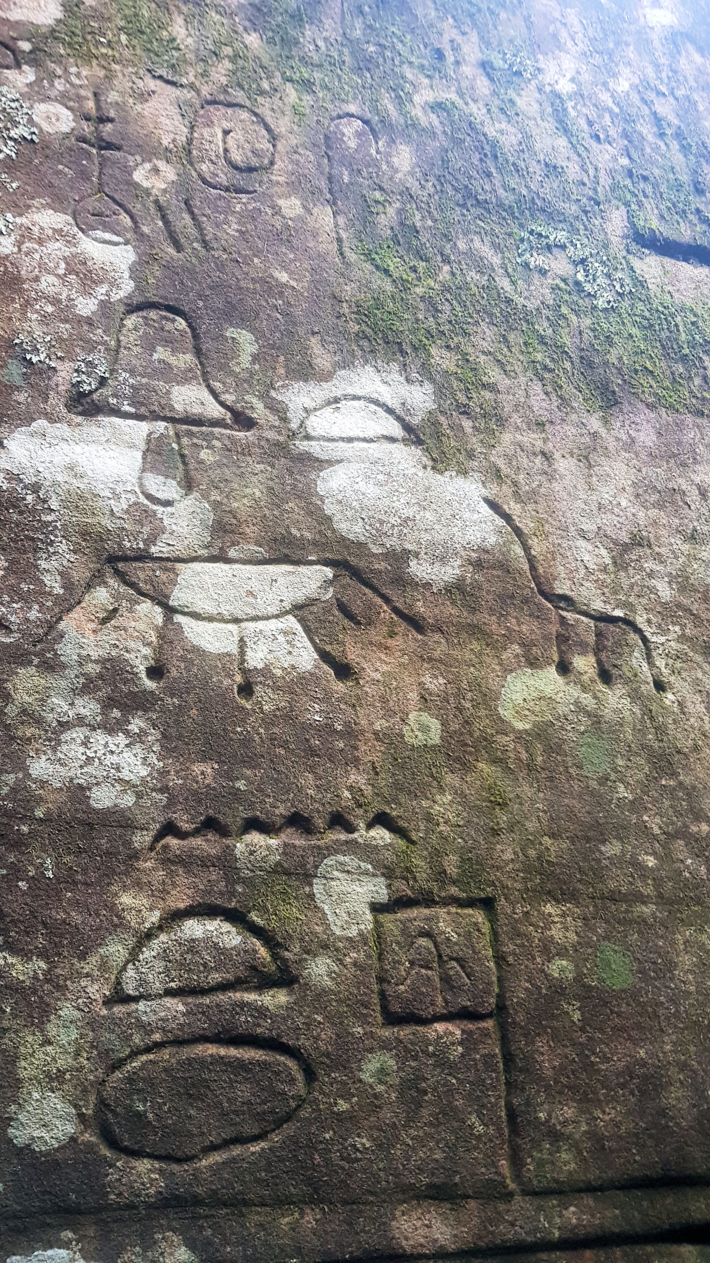 Gosford Glyphs Petroglyphs or Hieroglyphics Destination's Journey
