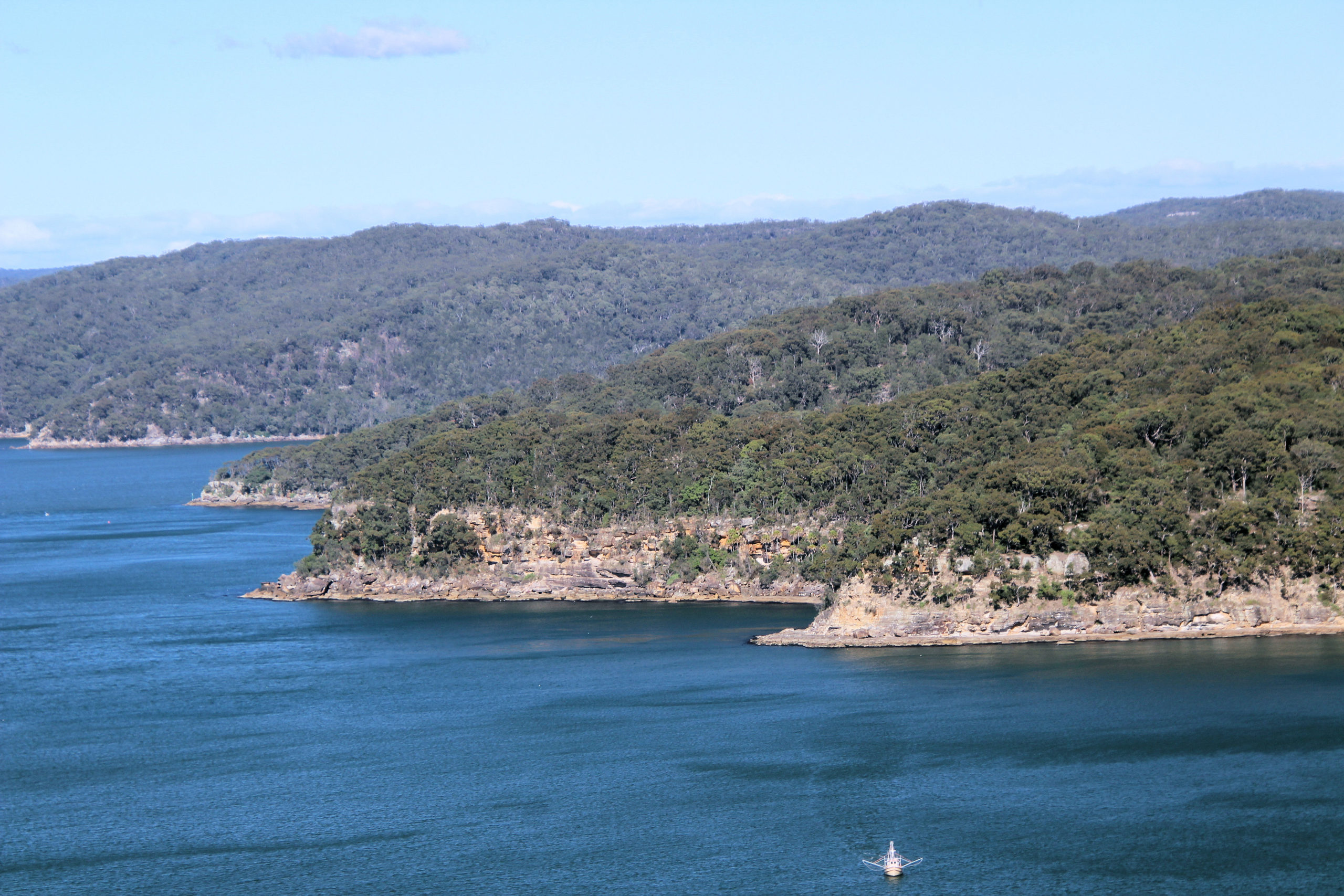 Pearl Beach Patonga Firetrail Bushwalking