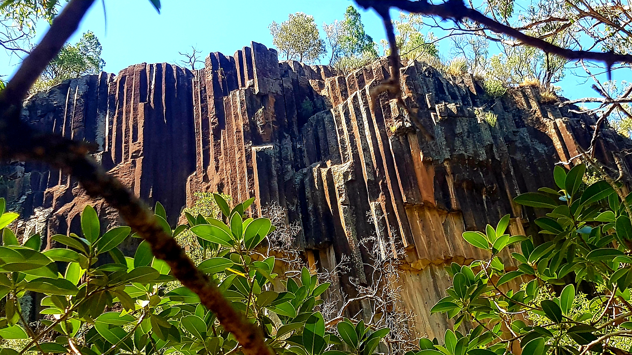 Sawn Rocks  Mount Kaputar National Park