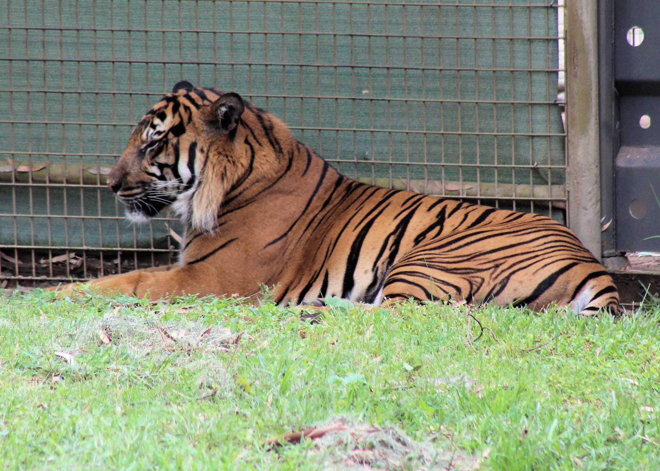 Taronga Western Plains Zoo Dubbo