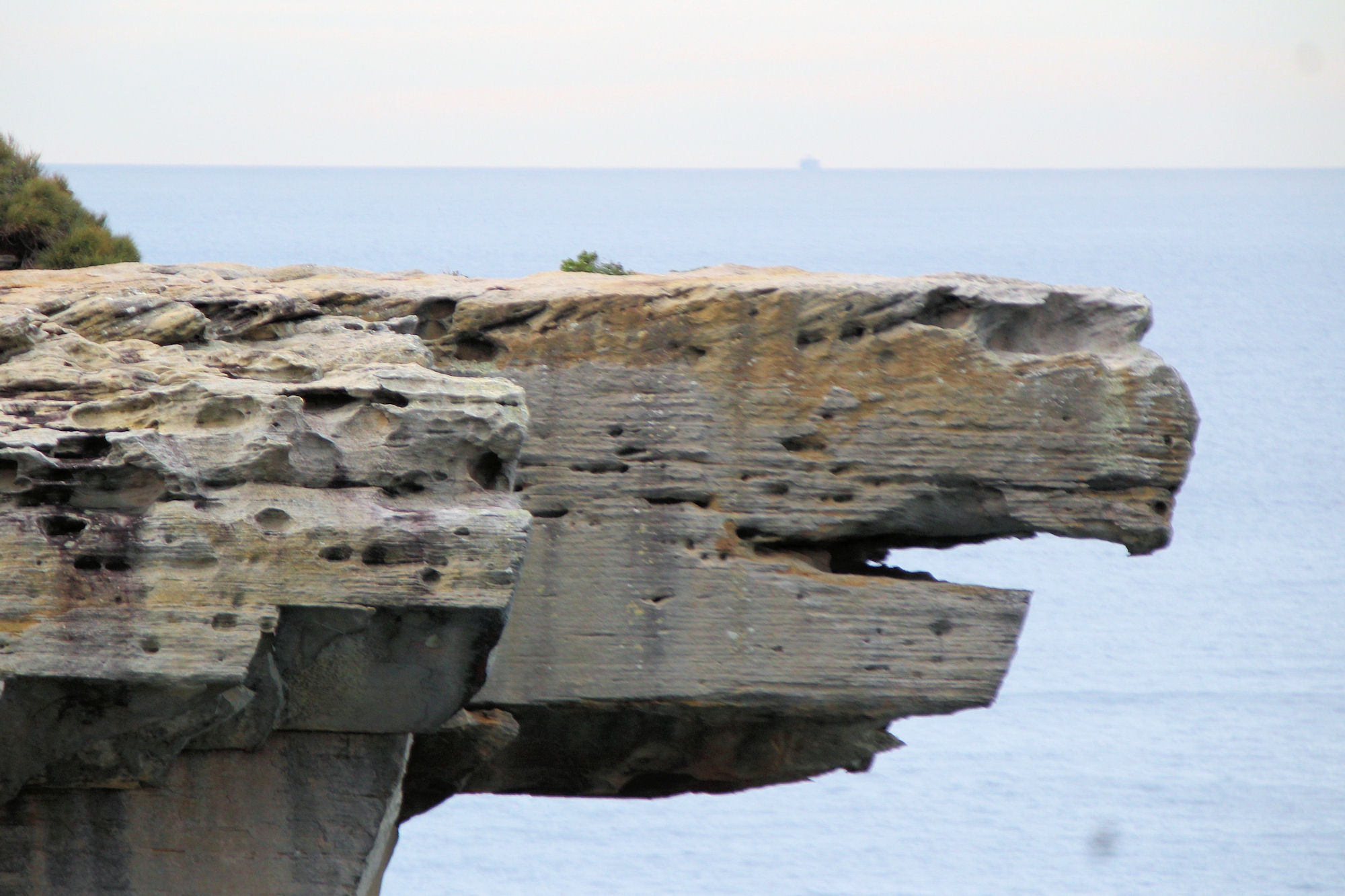 Eagle Rock Royal National Park