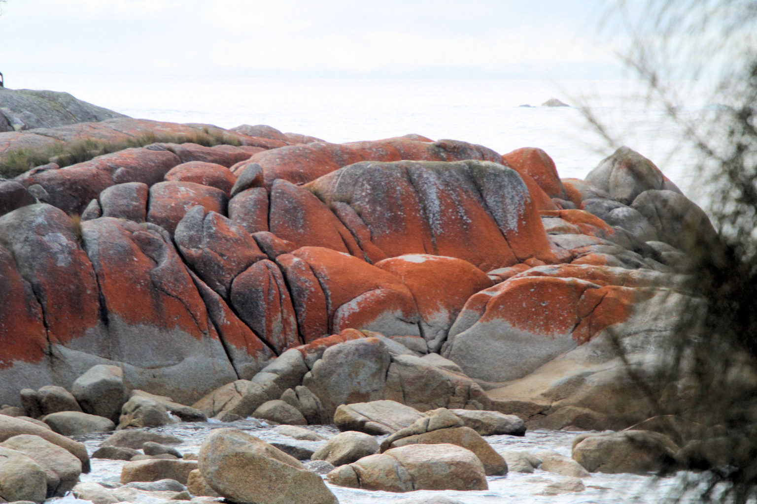 The Orange Rocks of the Bay of Fires - Destination's Journey