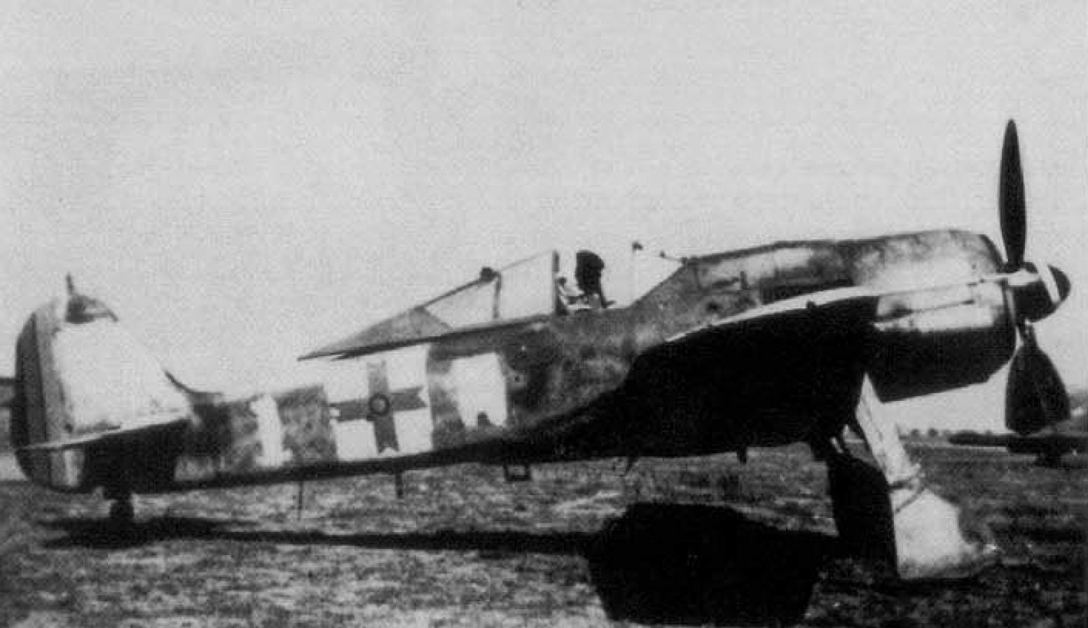 Focke Wulf Fw 190F-8 in Romanian Colours