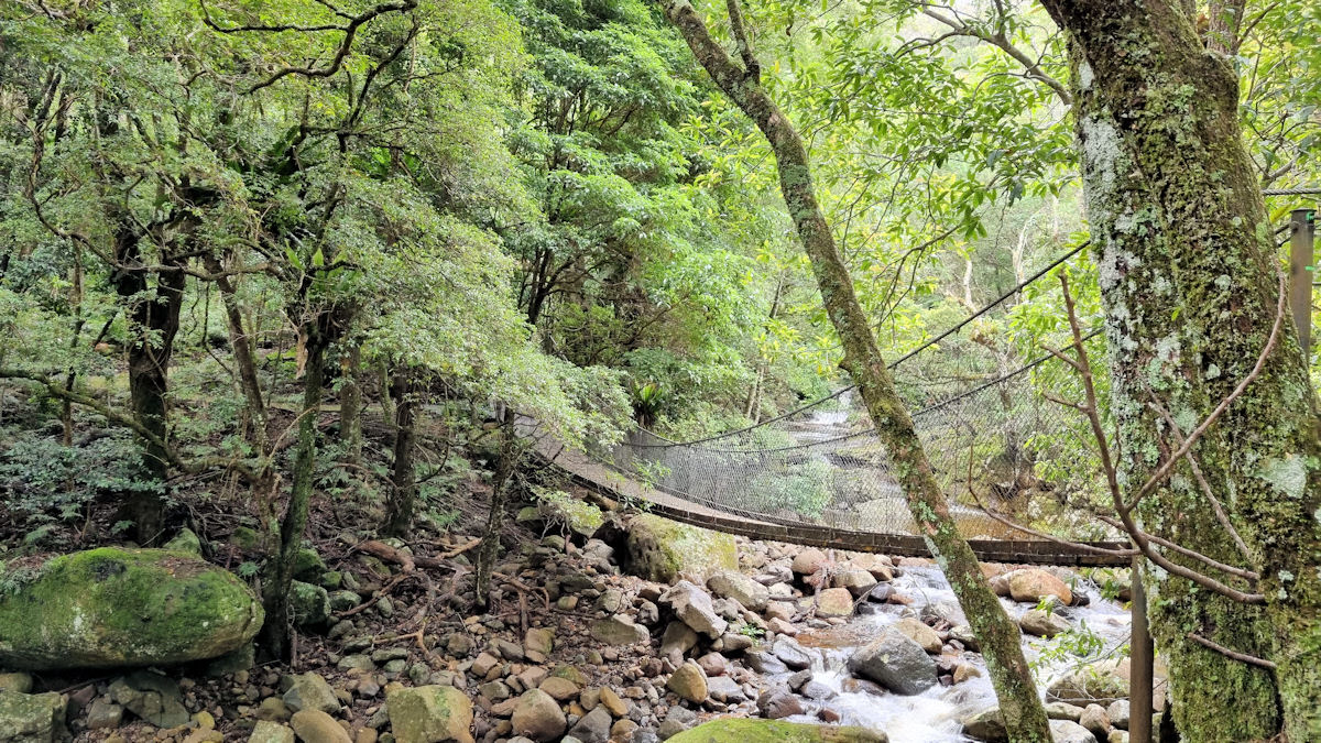 Suspension Bridge over Minnamurra River