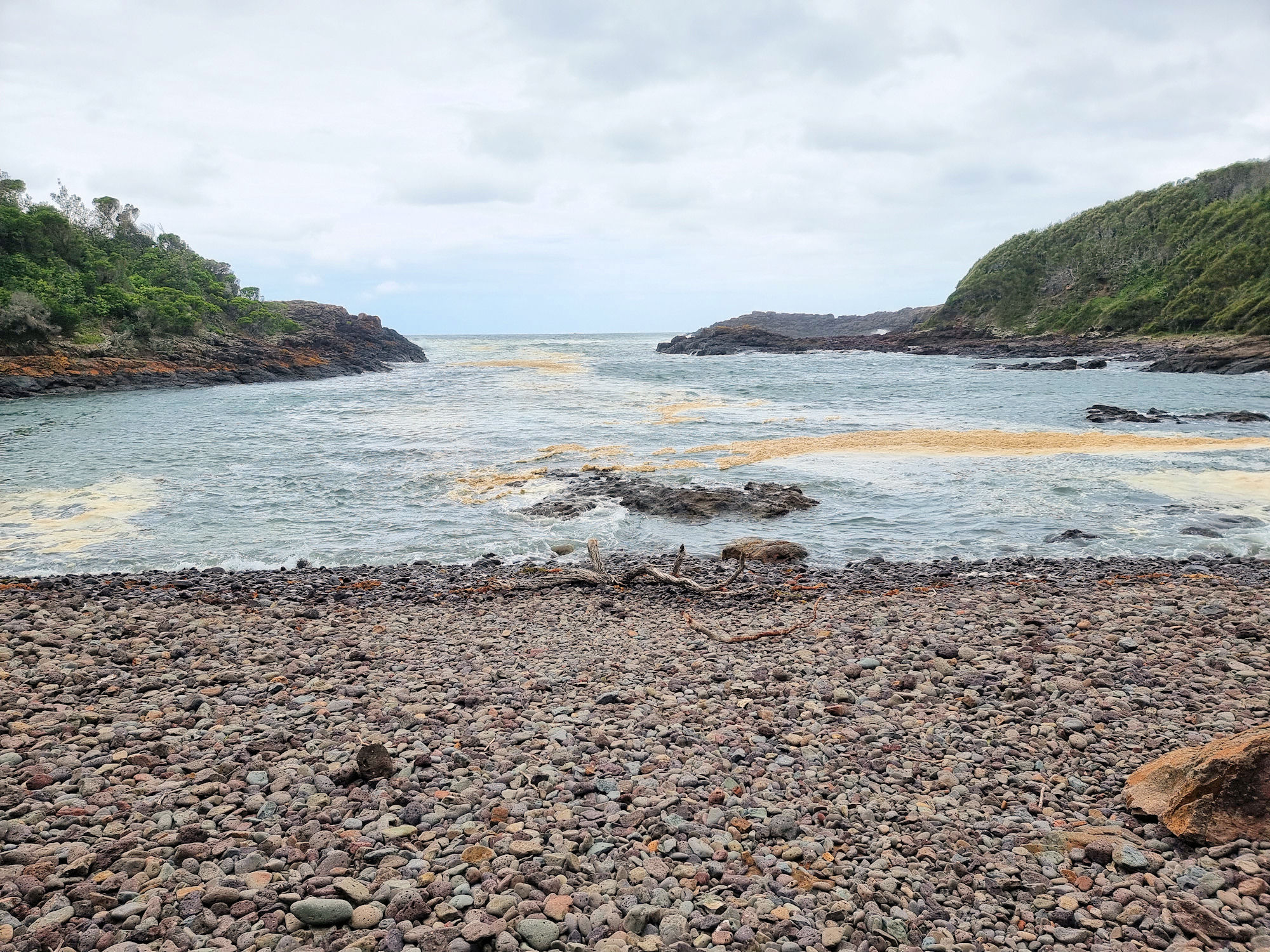 Bass Point Reserve