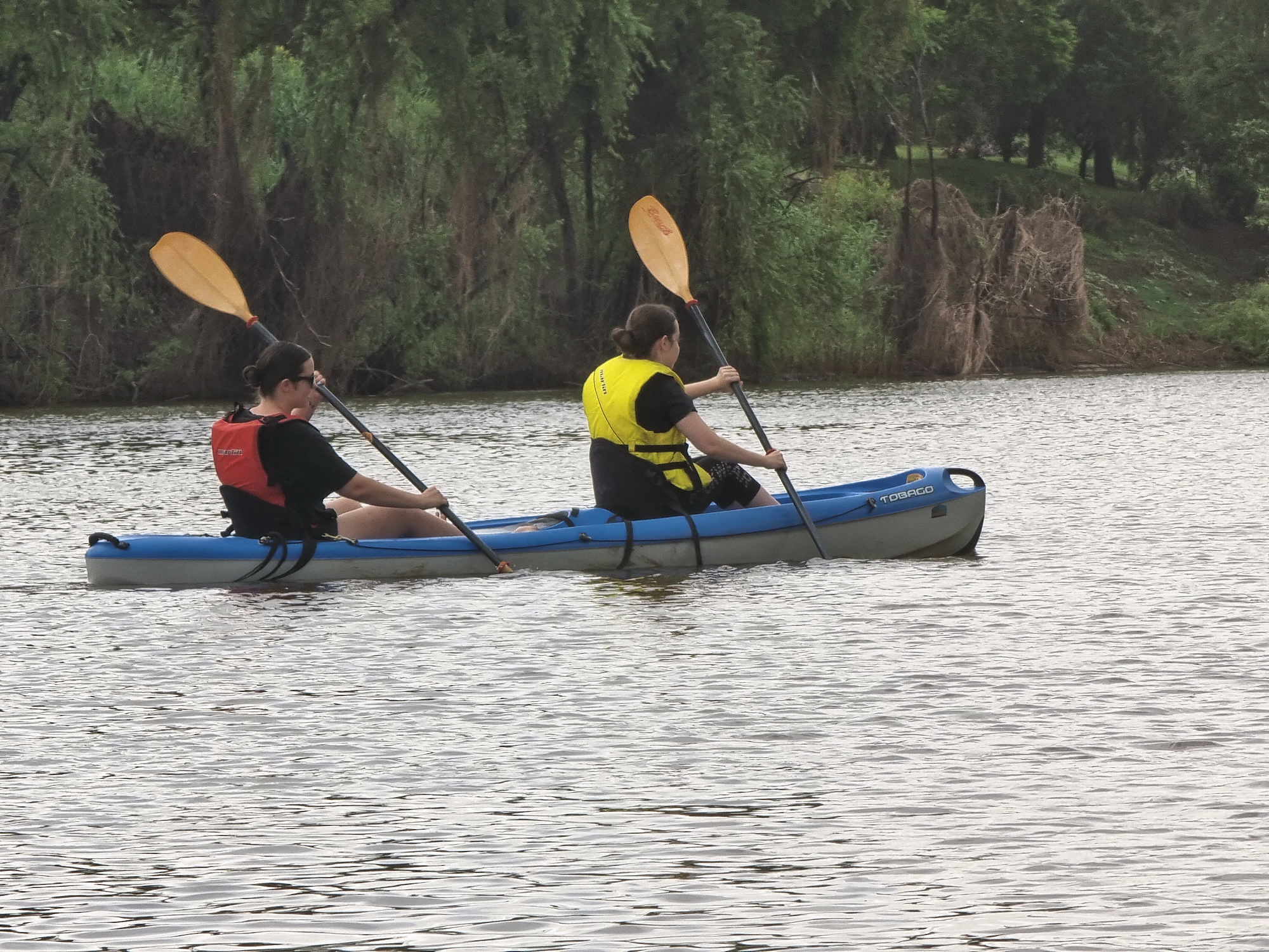 Hunter River Kayak Maitland