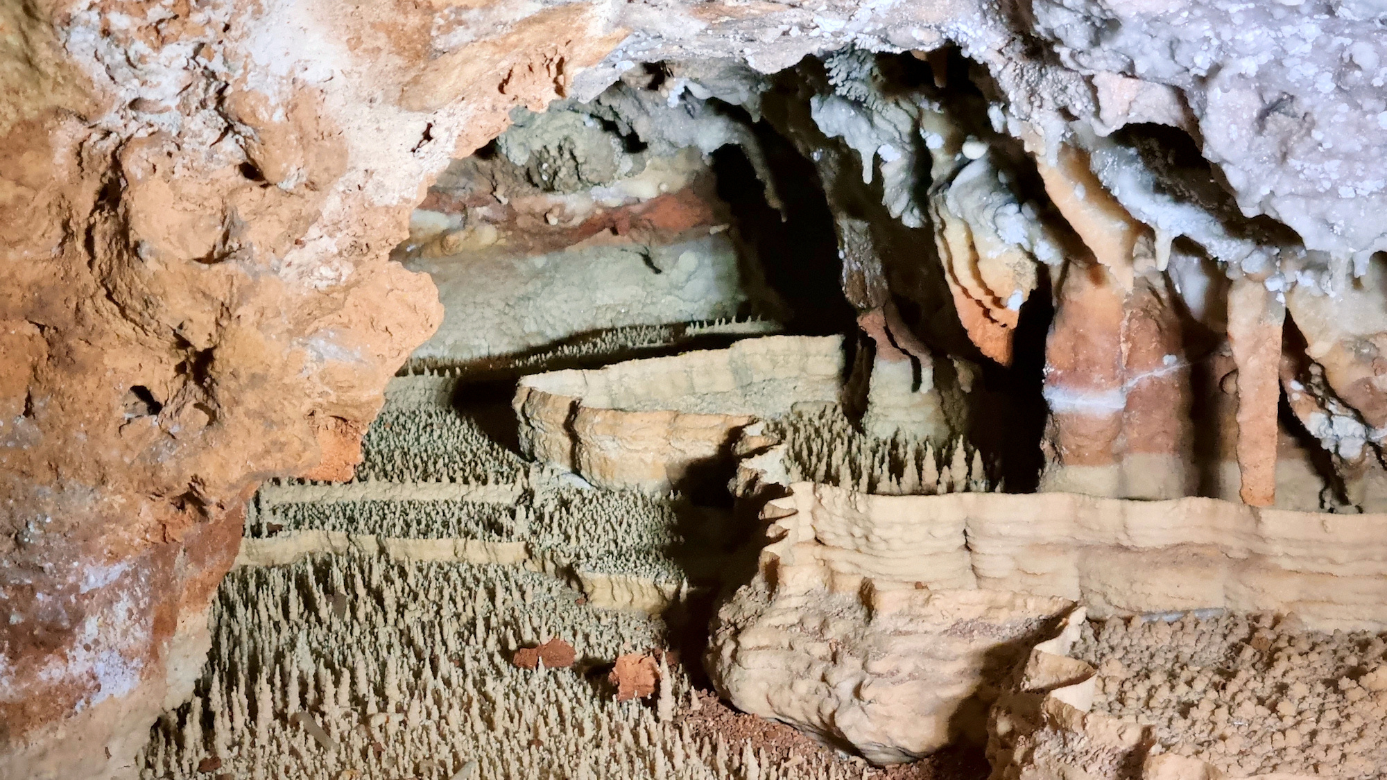 Wombeyan Caves