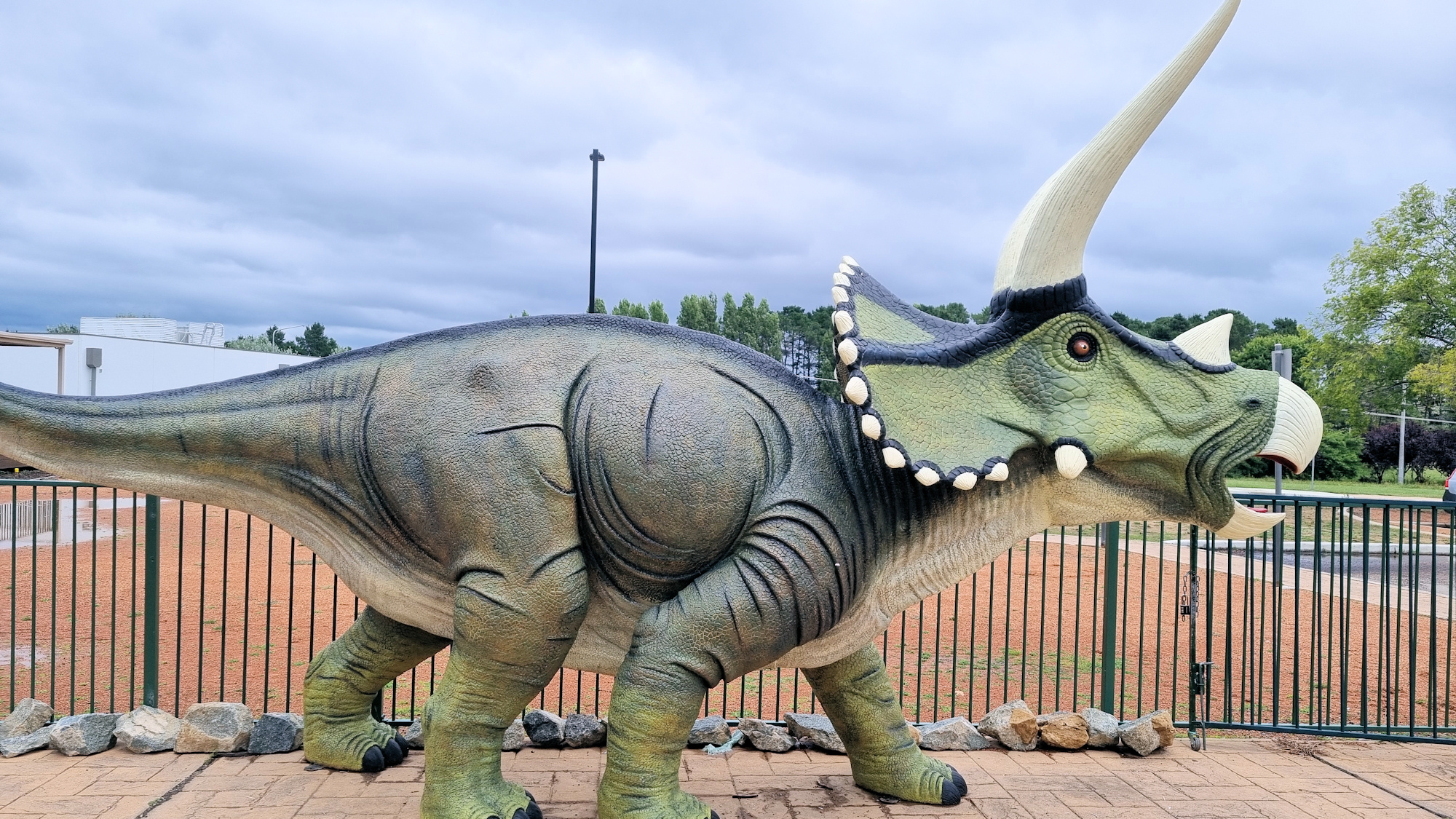 National Dinosaur Museum