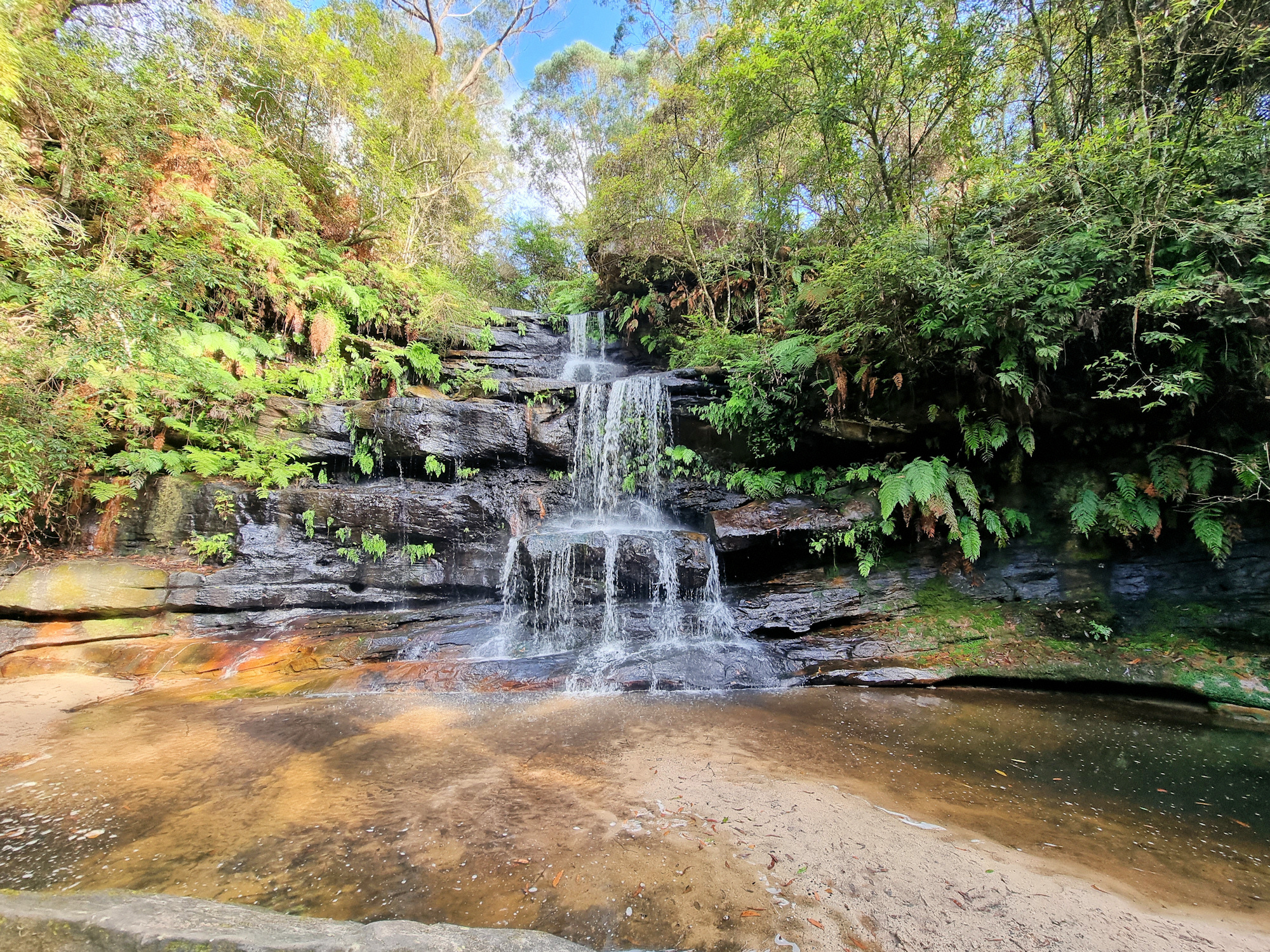 Ironbark Falls Mangrove Mountain