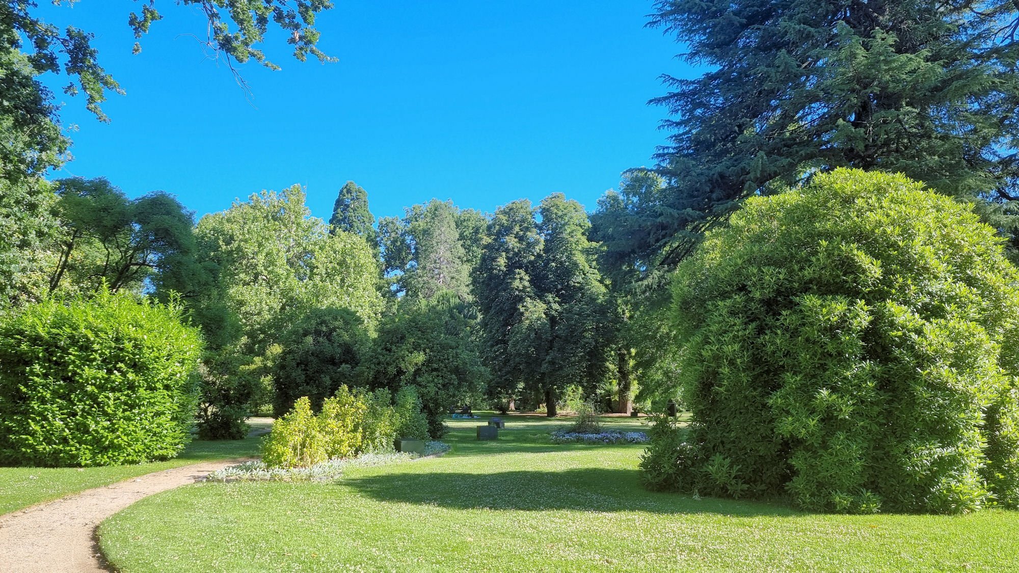 Cook Park Orange