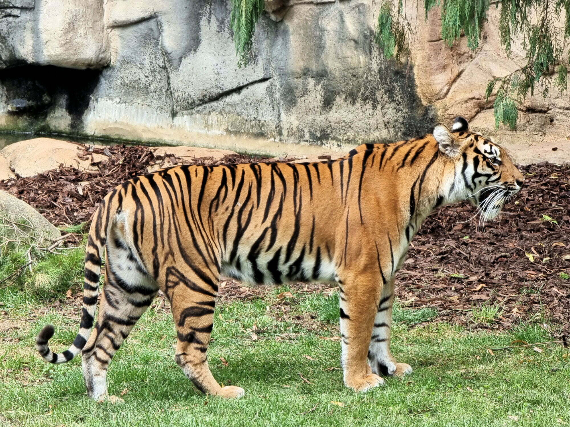 National Zoo and Aquarium