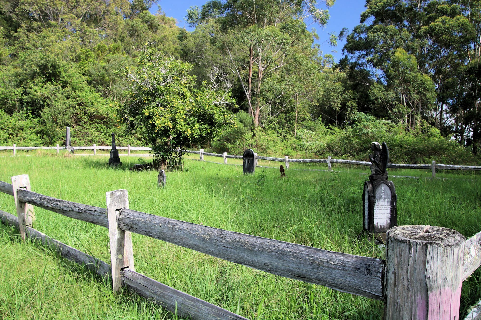 Neranie Cemetery Walk Myall Lakes