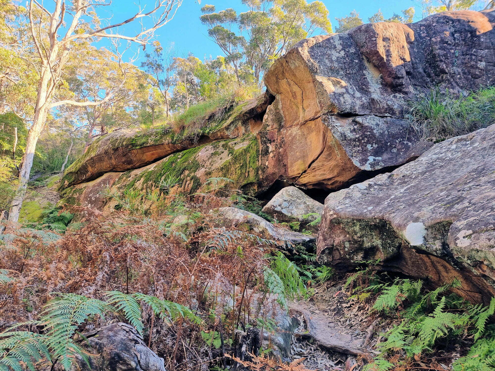 Kanning Walk Kincumber Australia