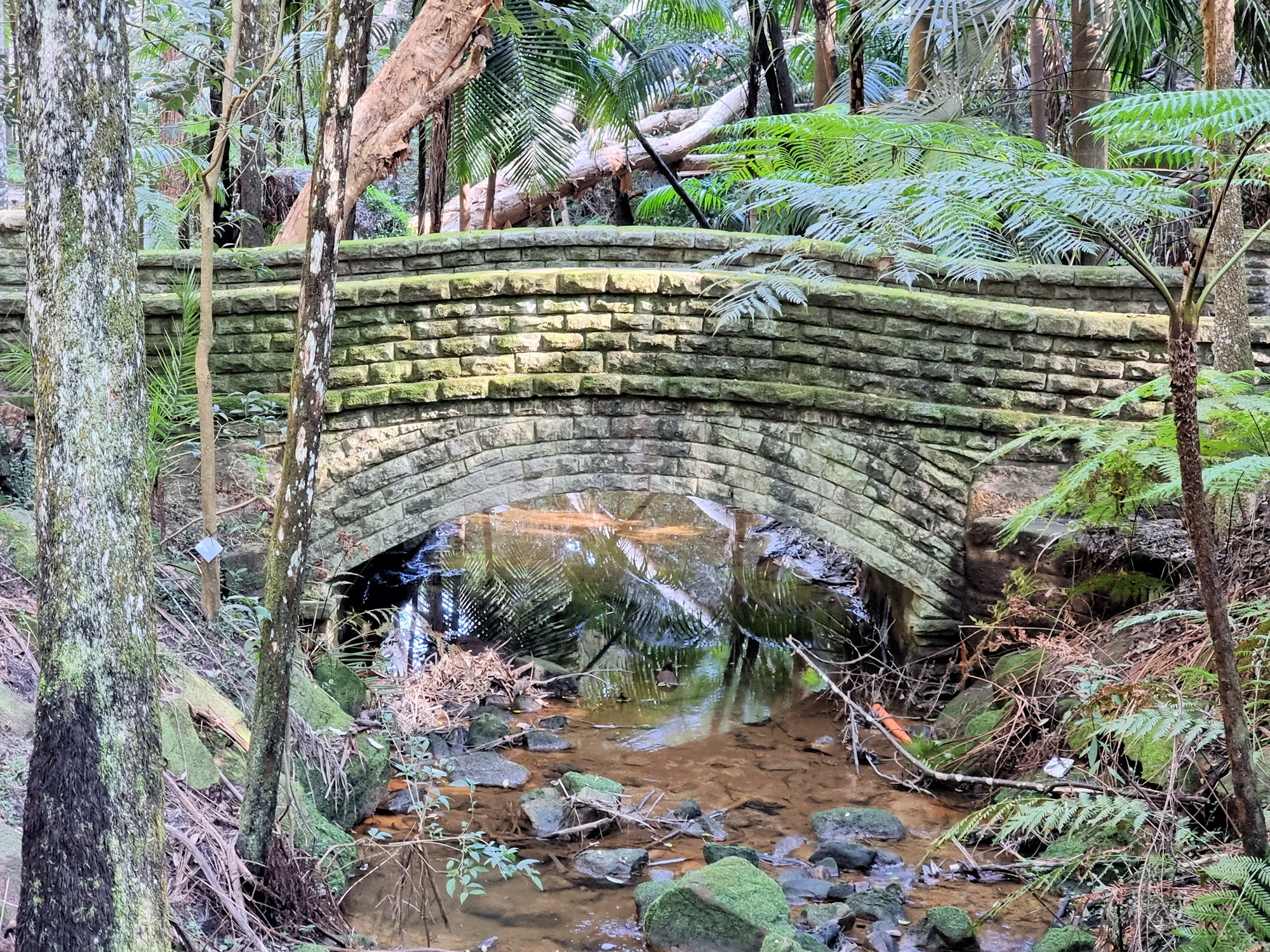 Cooper Park Bushwalking in the City