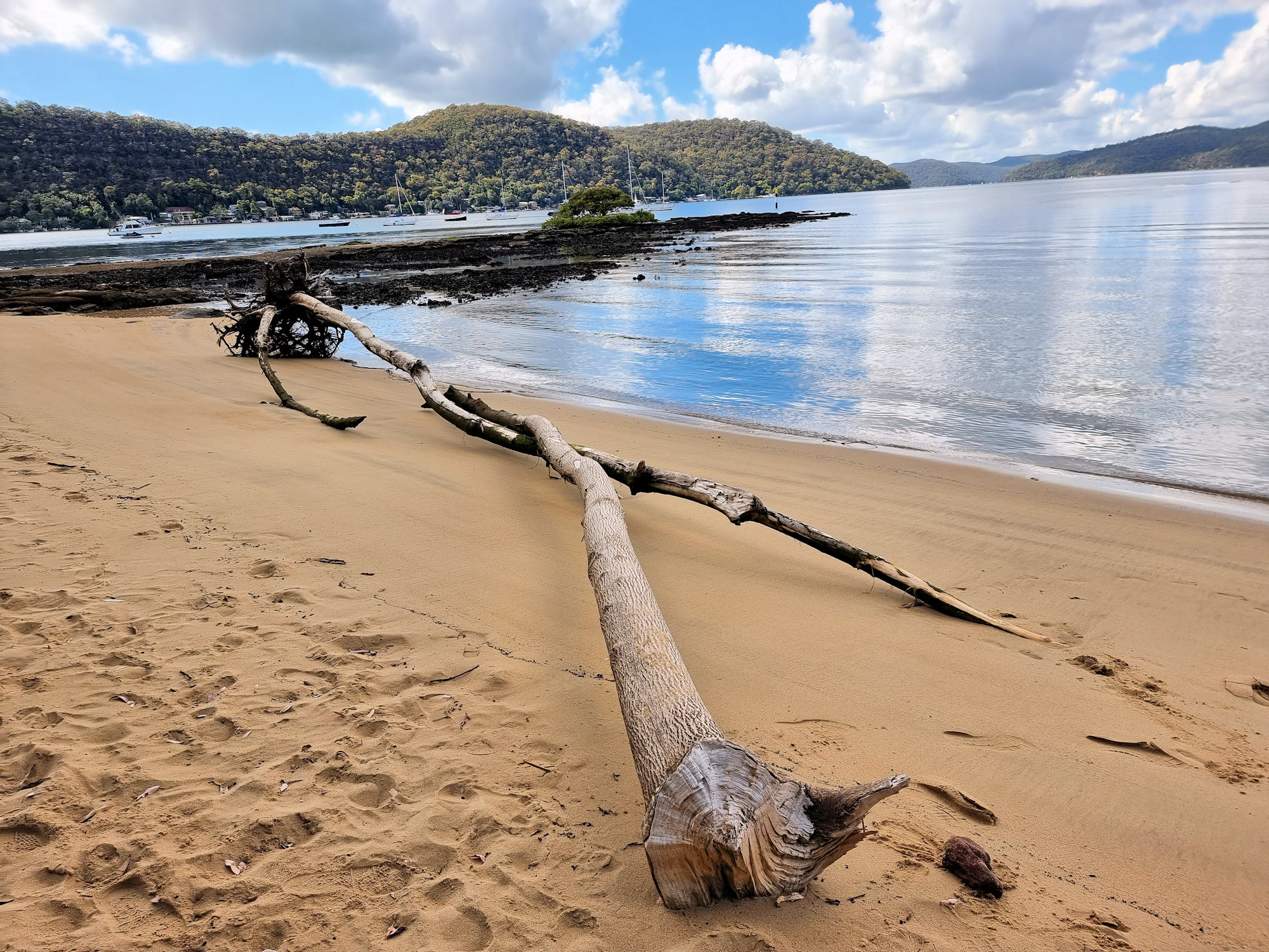 Dangar Island and Brooklyn Ferry