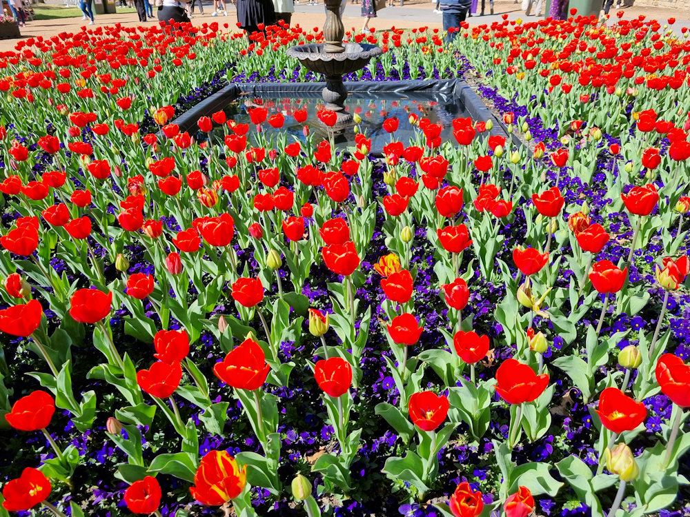 Floriade Canberra 2023
