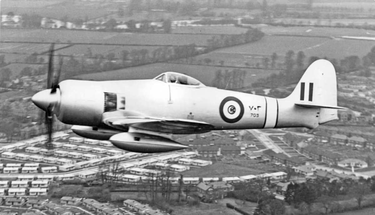Hawker Sea Fury in Egyptian Service