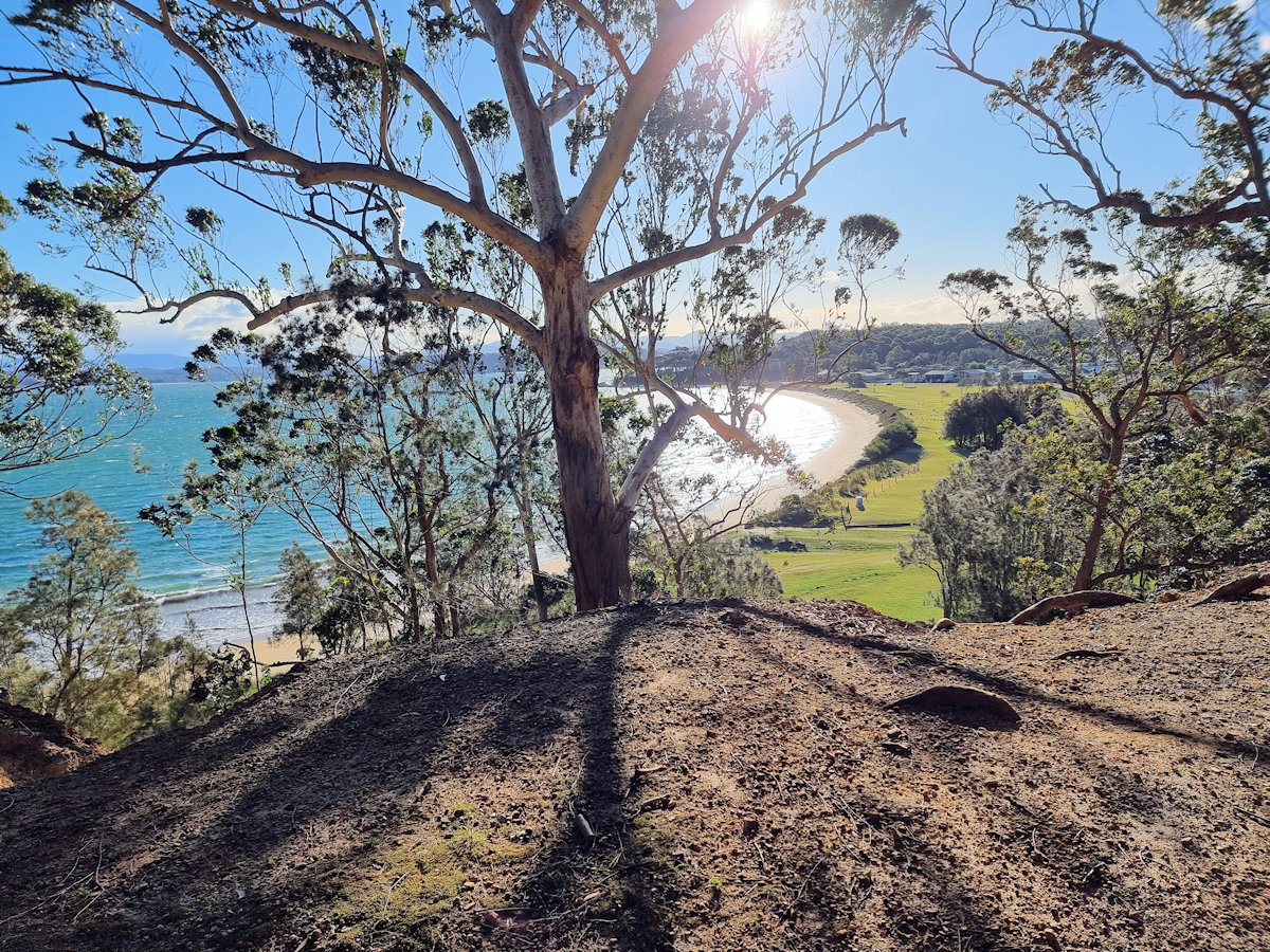 Acheron Ledge Walking Track