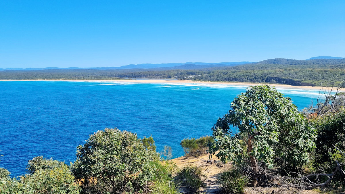 Burrawang Walking Track