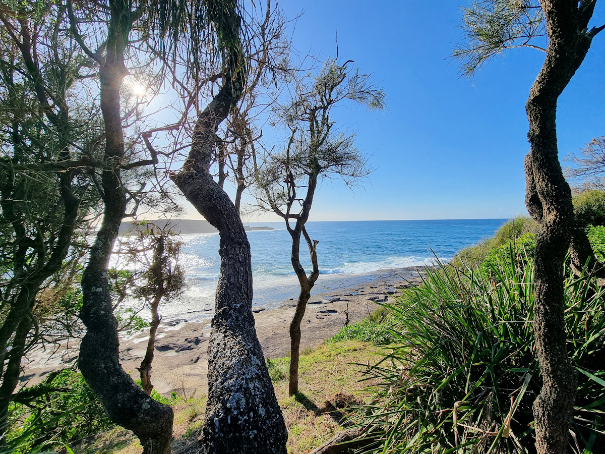 Wasp Head Walking Track