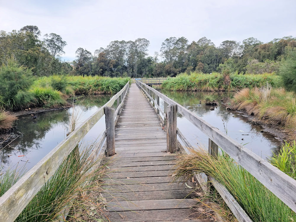 Boardwalk over water Buchanan-Rolfe Boardwalk Batemans Bay