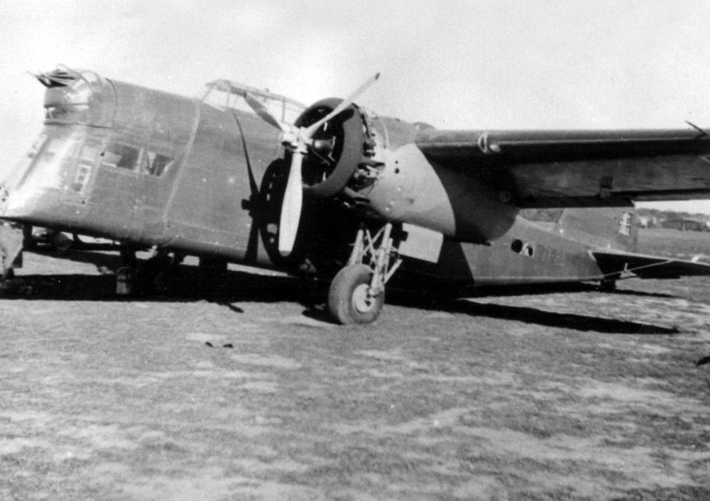 LWS-6 Żubr