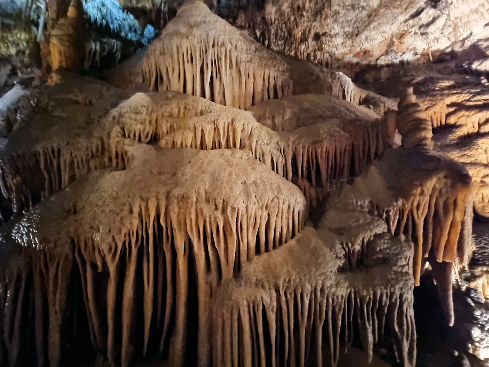 Jersey Cave Yarrangobilly Caves