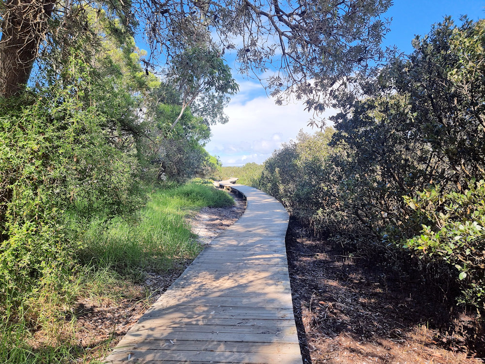 Merimbula Boardwalk New South Wales