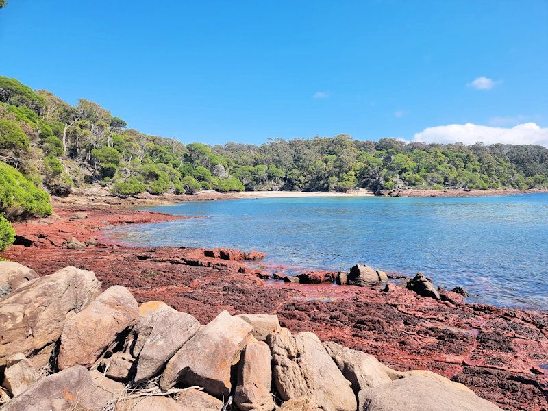 Bittangabee Bay Storehouse Eden NSW