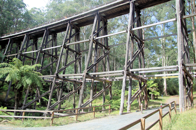 Noojee Trestle Bridge Victoria