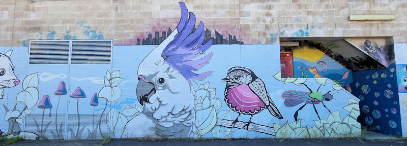 Bairnsdale Street Art