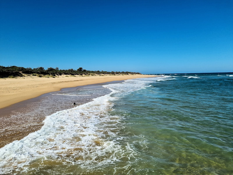 Hummocks Walking Track Lakes Entrance Victoria